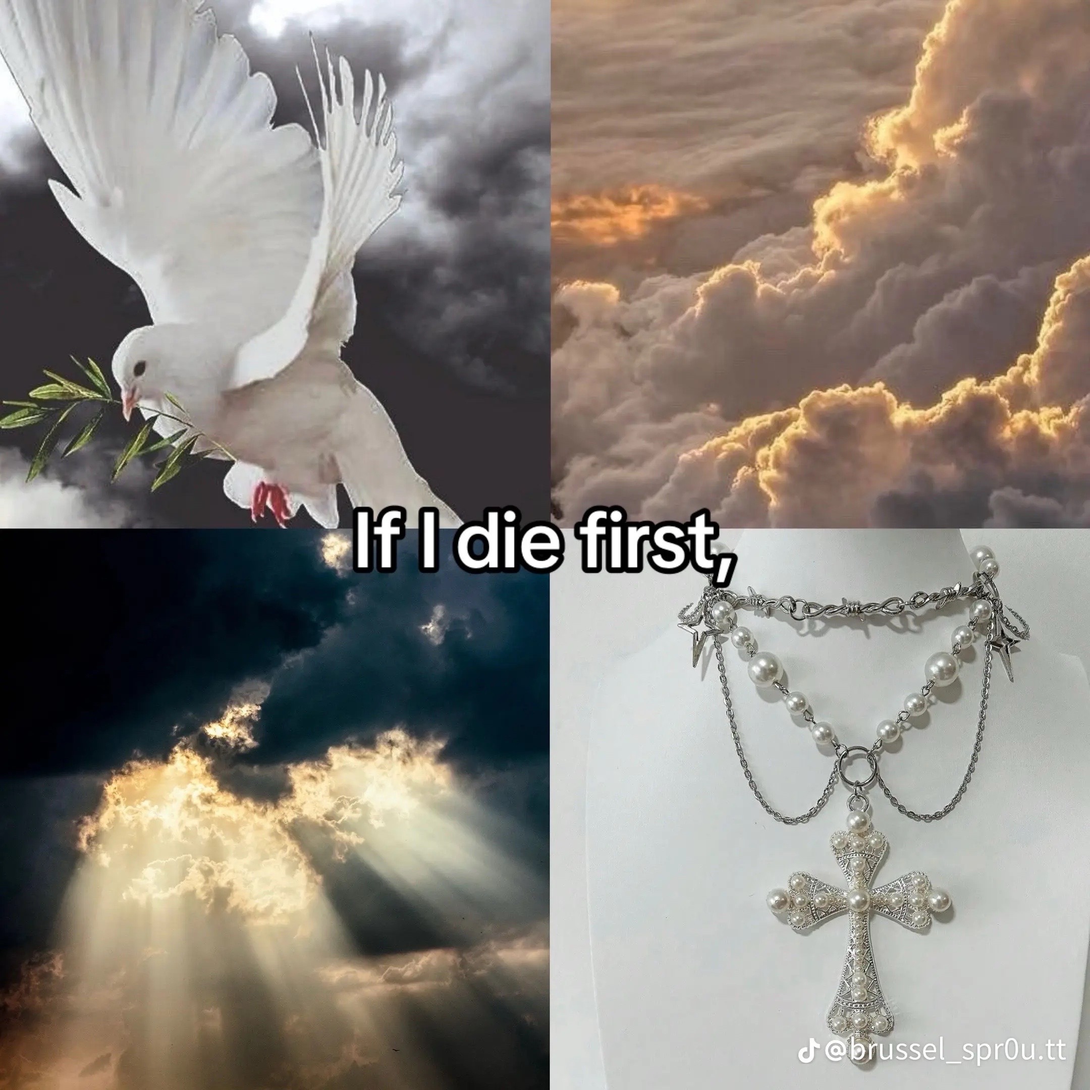@precious💗🥺🐶🦴