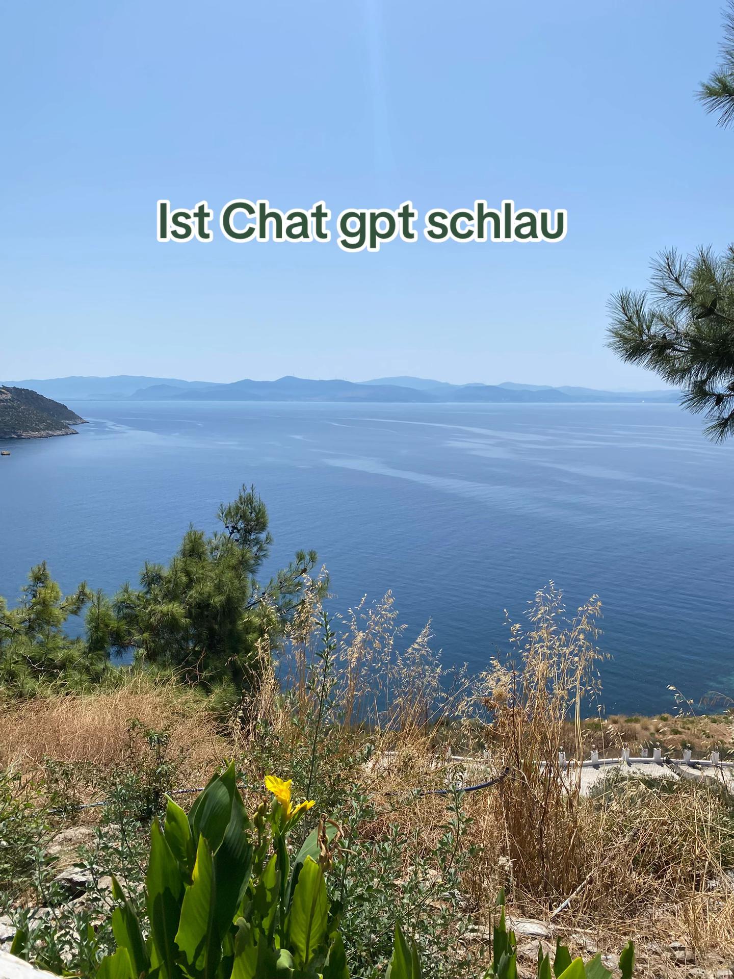 @T&lsquo;A👁️&zwj;🗨️🇹🇷