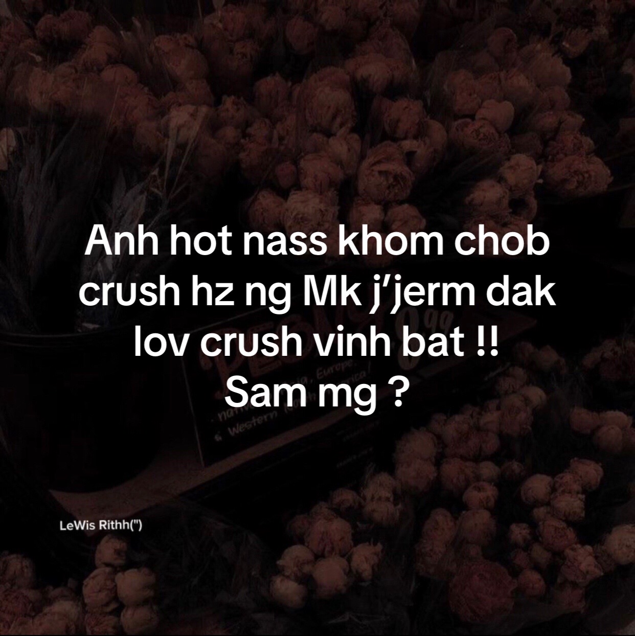 @Quuue