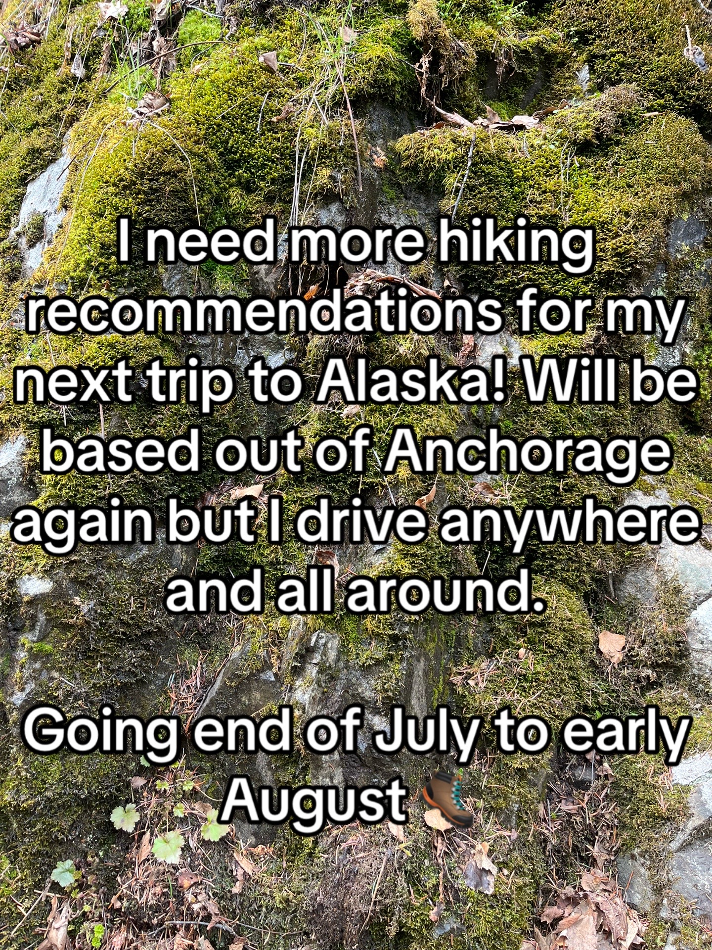 @Chasey Campbell 🏔️🕷️🐾