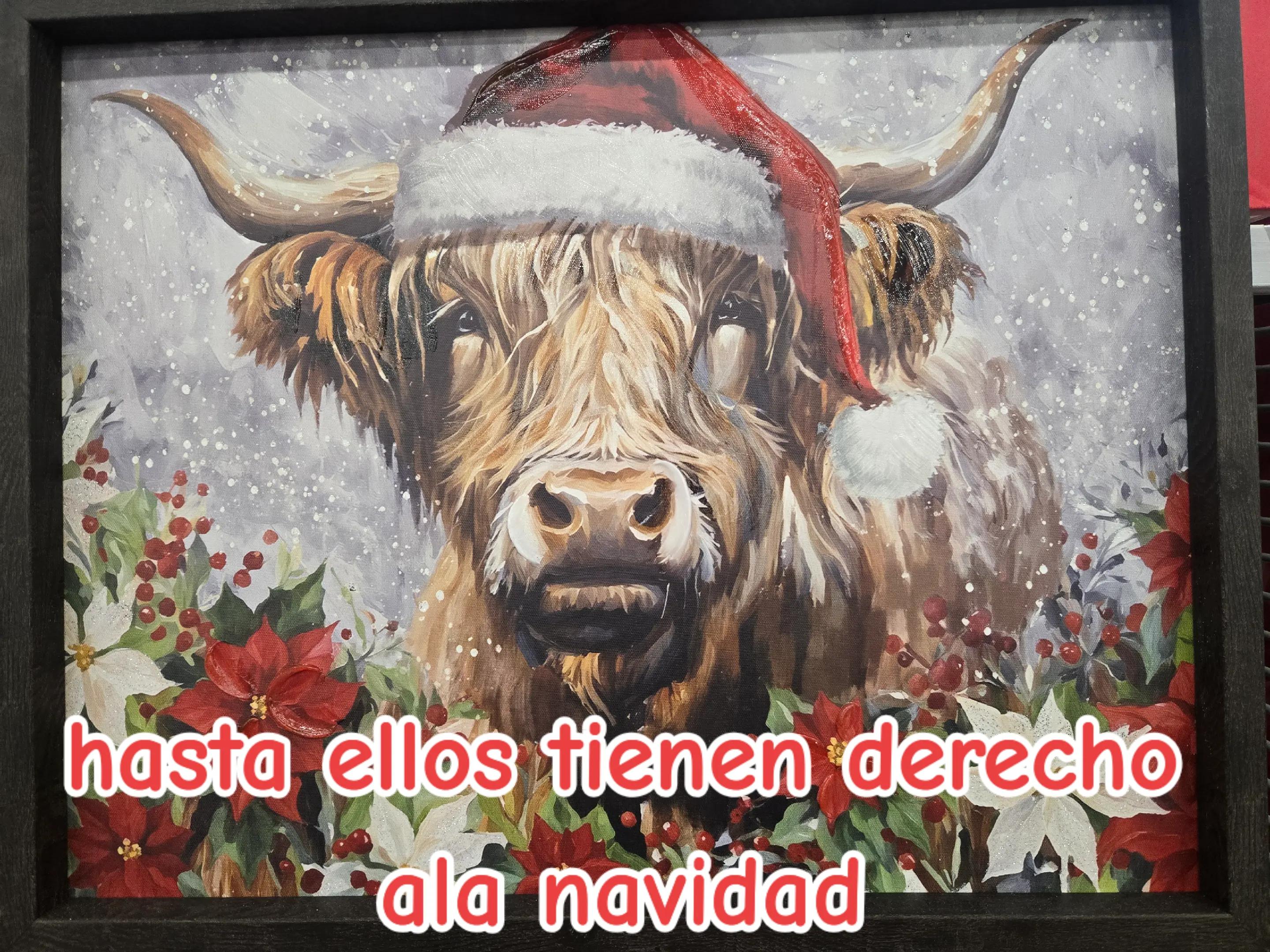 @ulises r aponte
