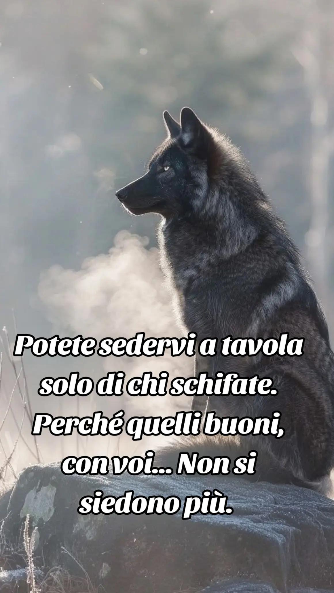 @🐺🗽Crazy Wolf.