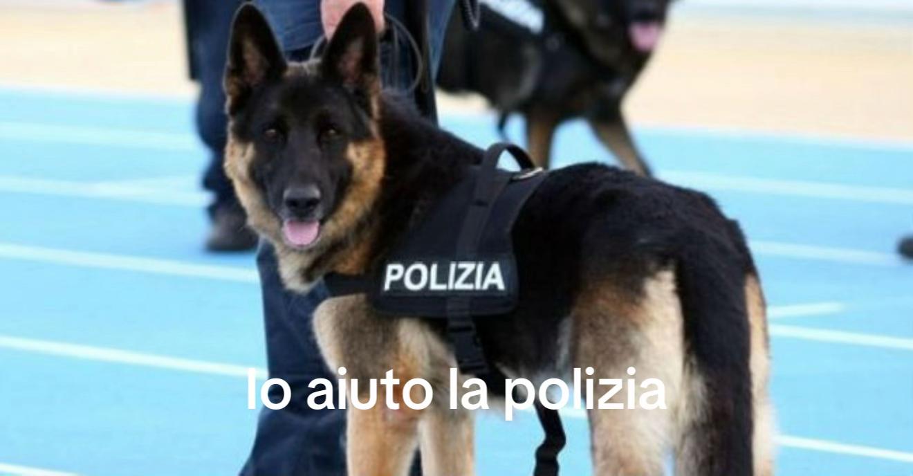 @Michela 🐕