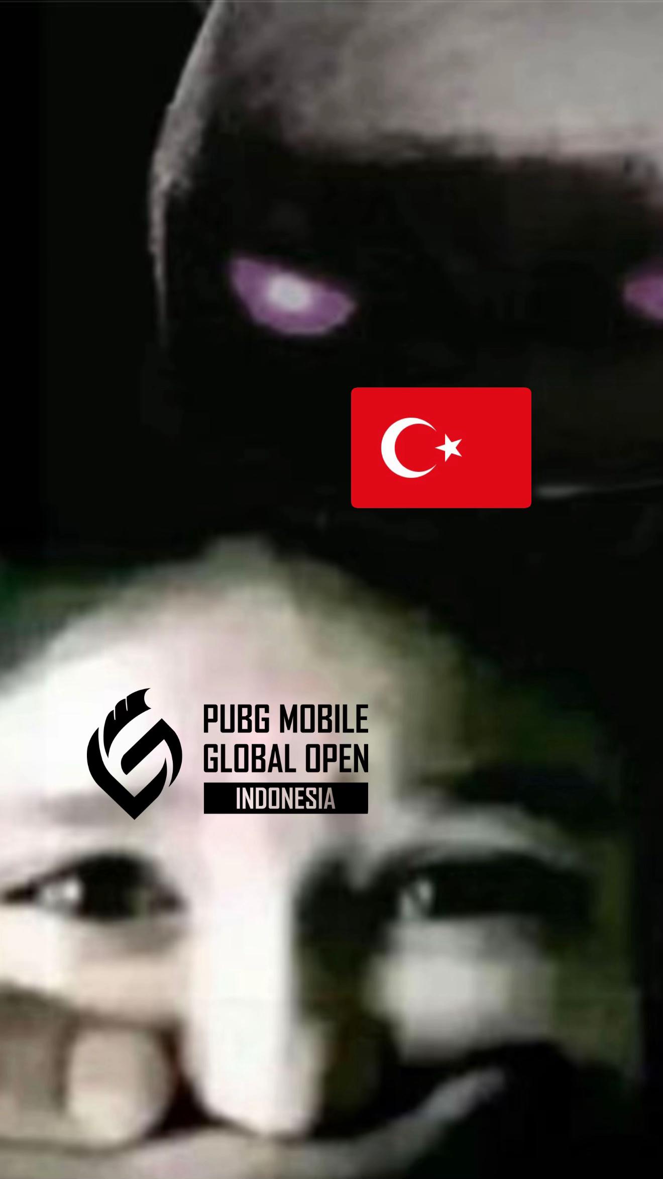 @ogulcan.editspm