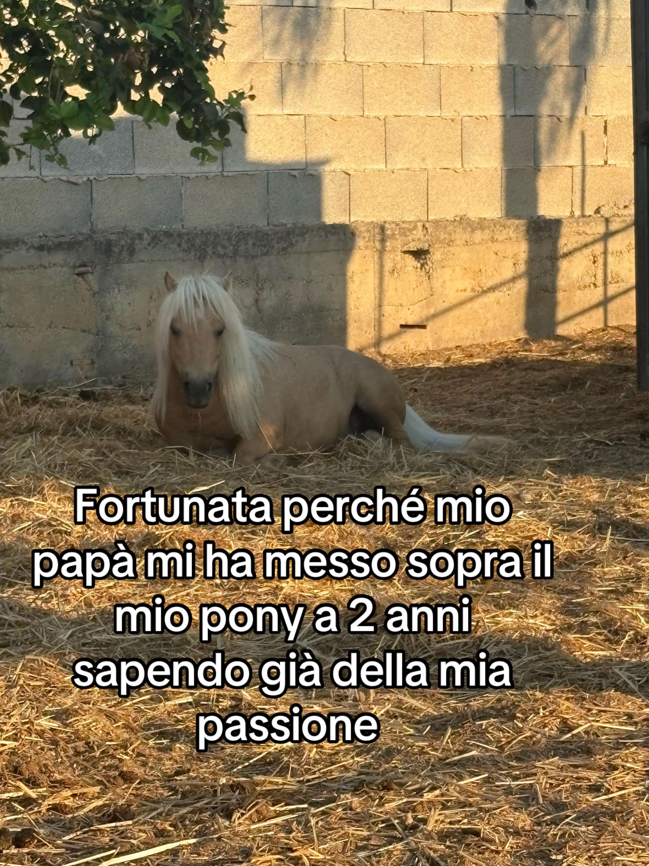 @Aurora Campisi