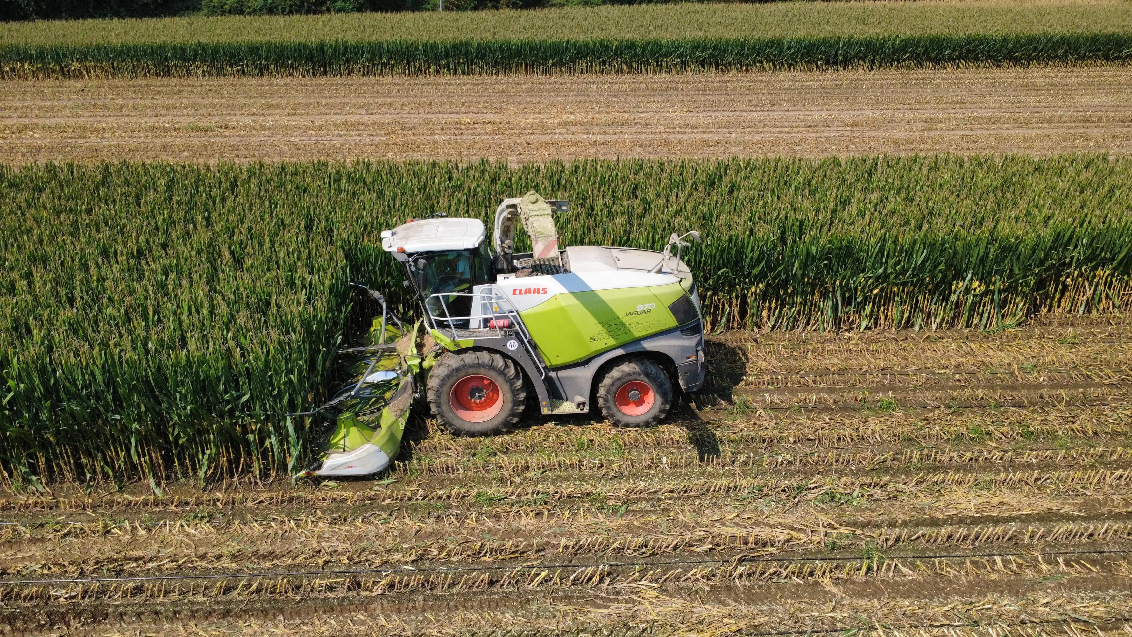 @TEO93.AGROTECH