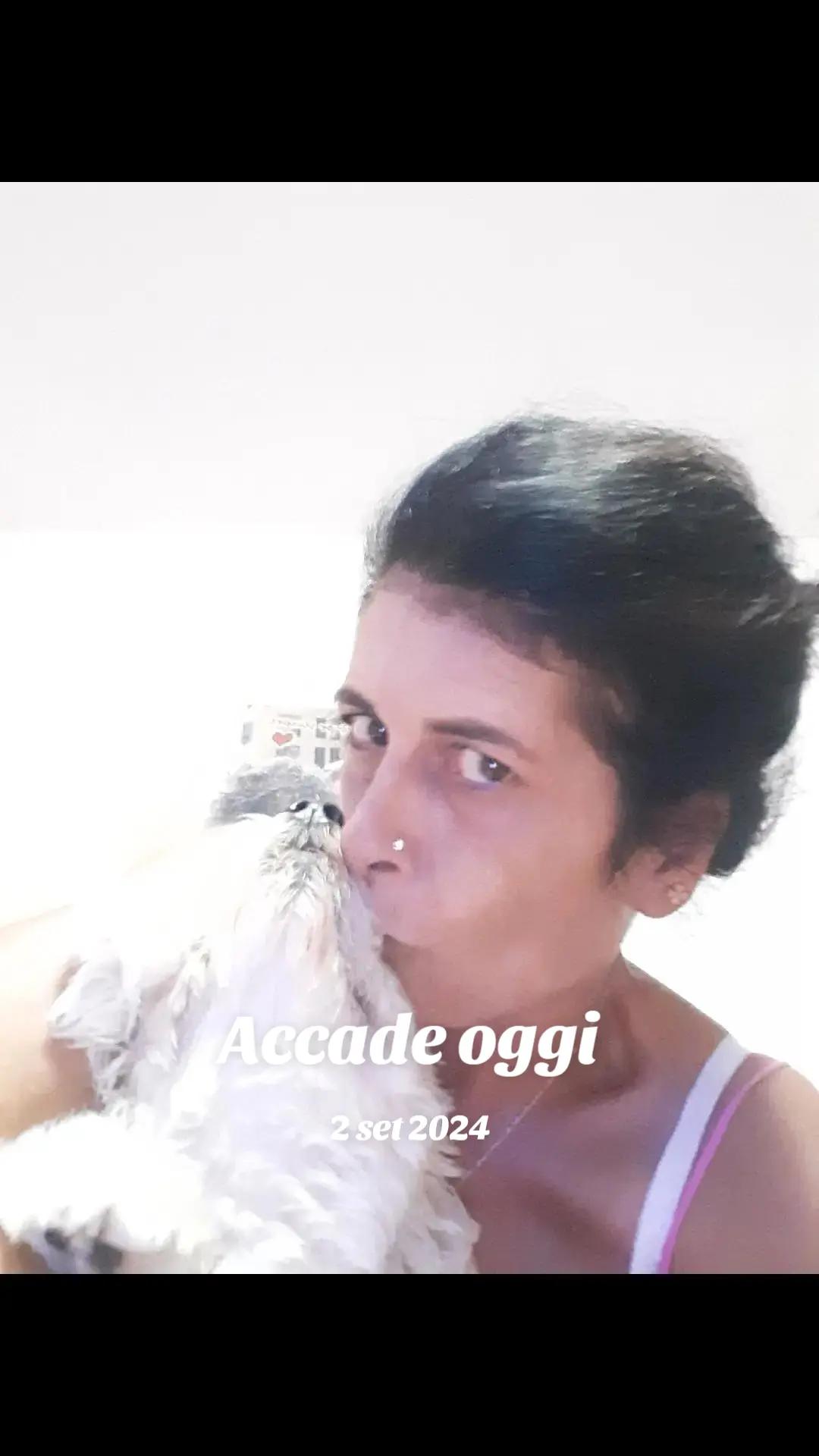 @vincenzapalmese16