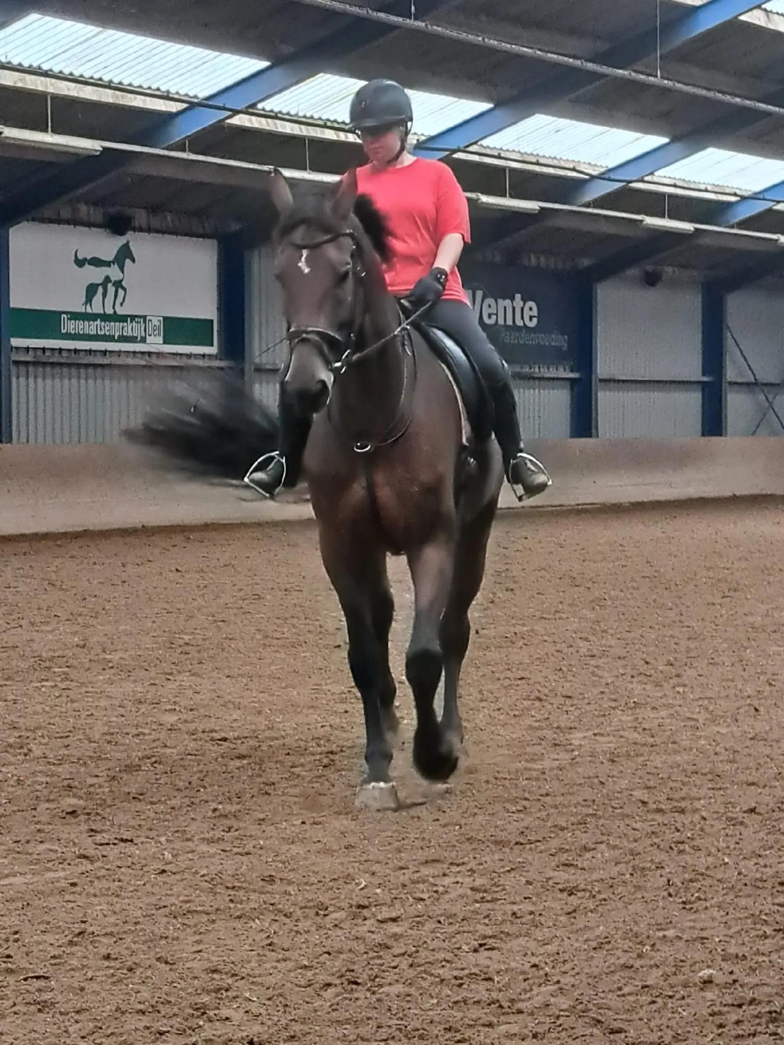 @equi_mandy
