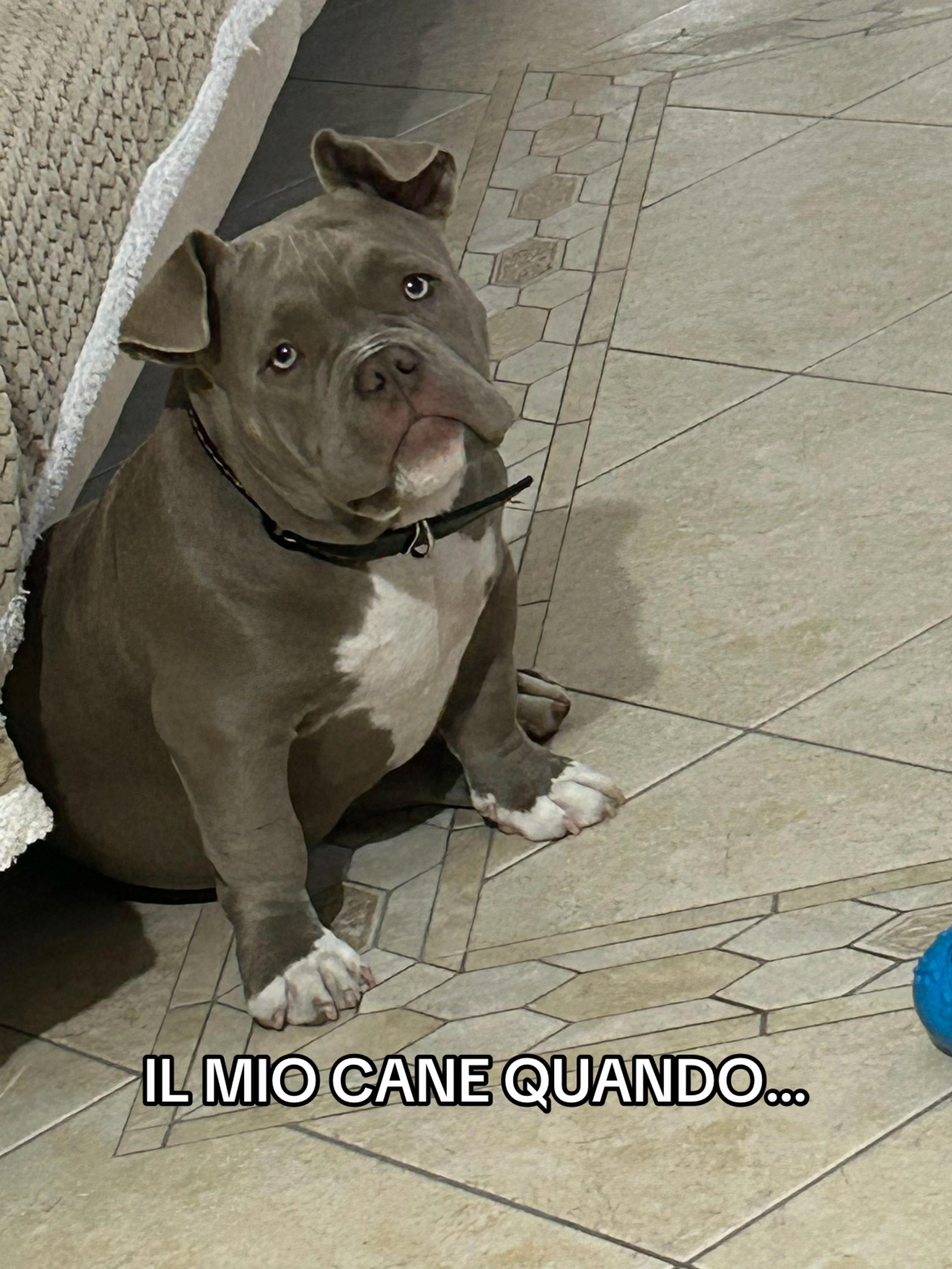 @Angela Cassano