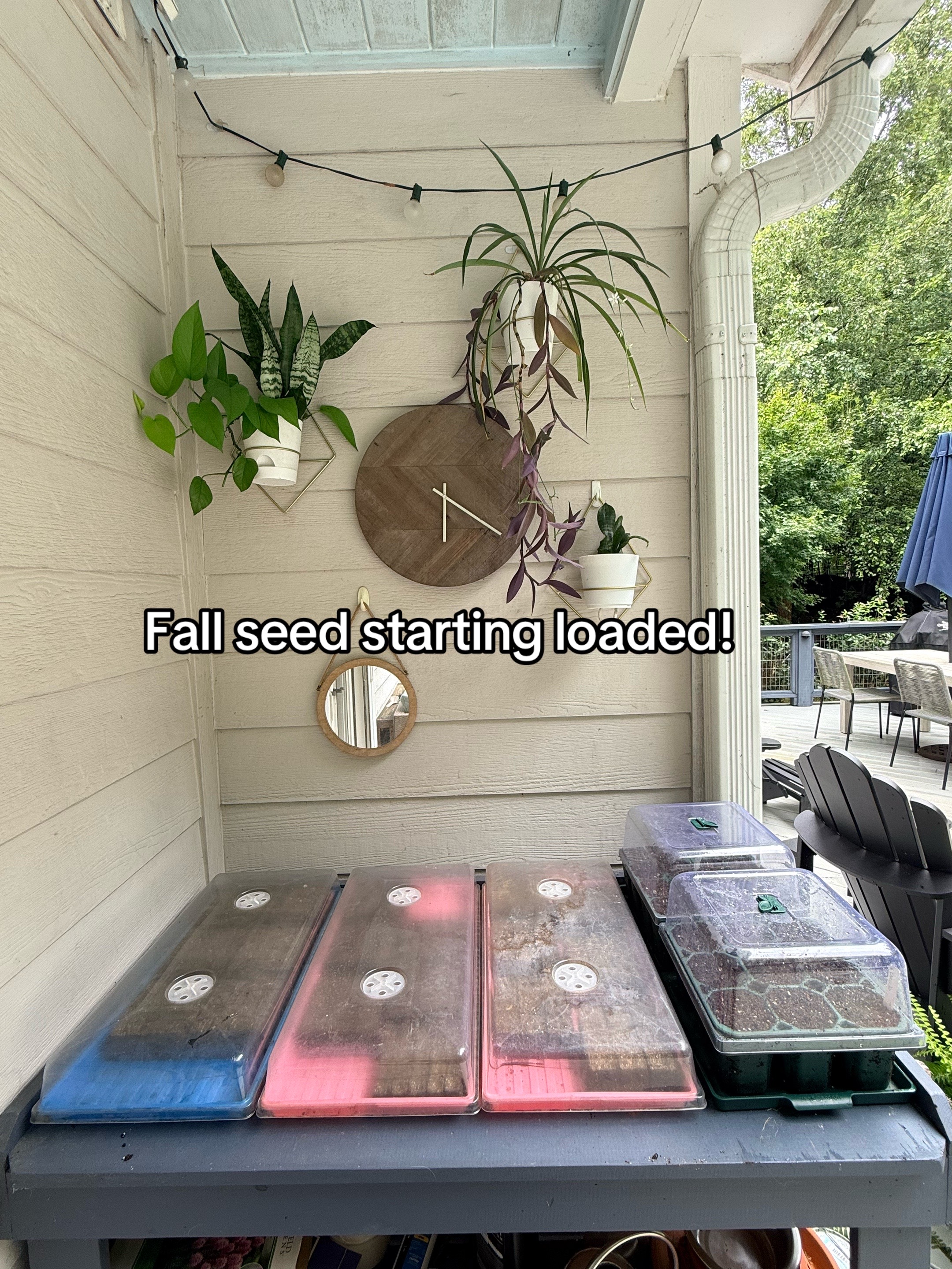 @The Ever Hopeful Gardener