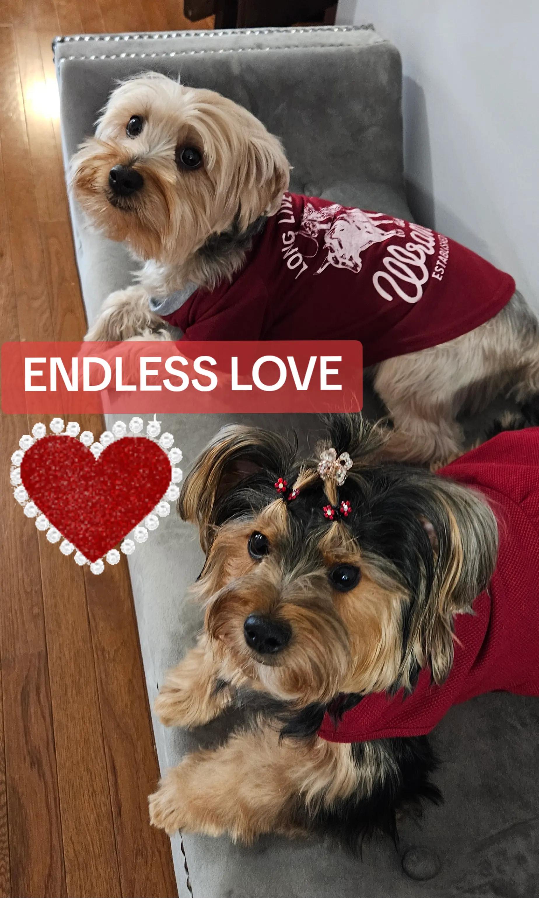@Prince Loves CoCo