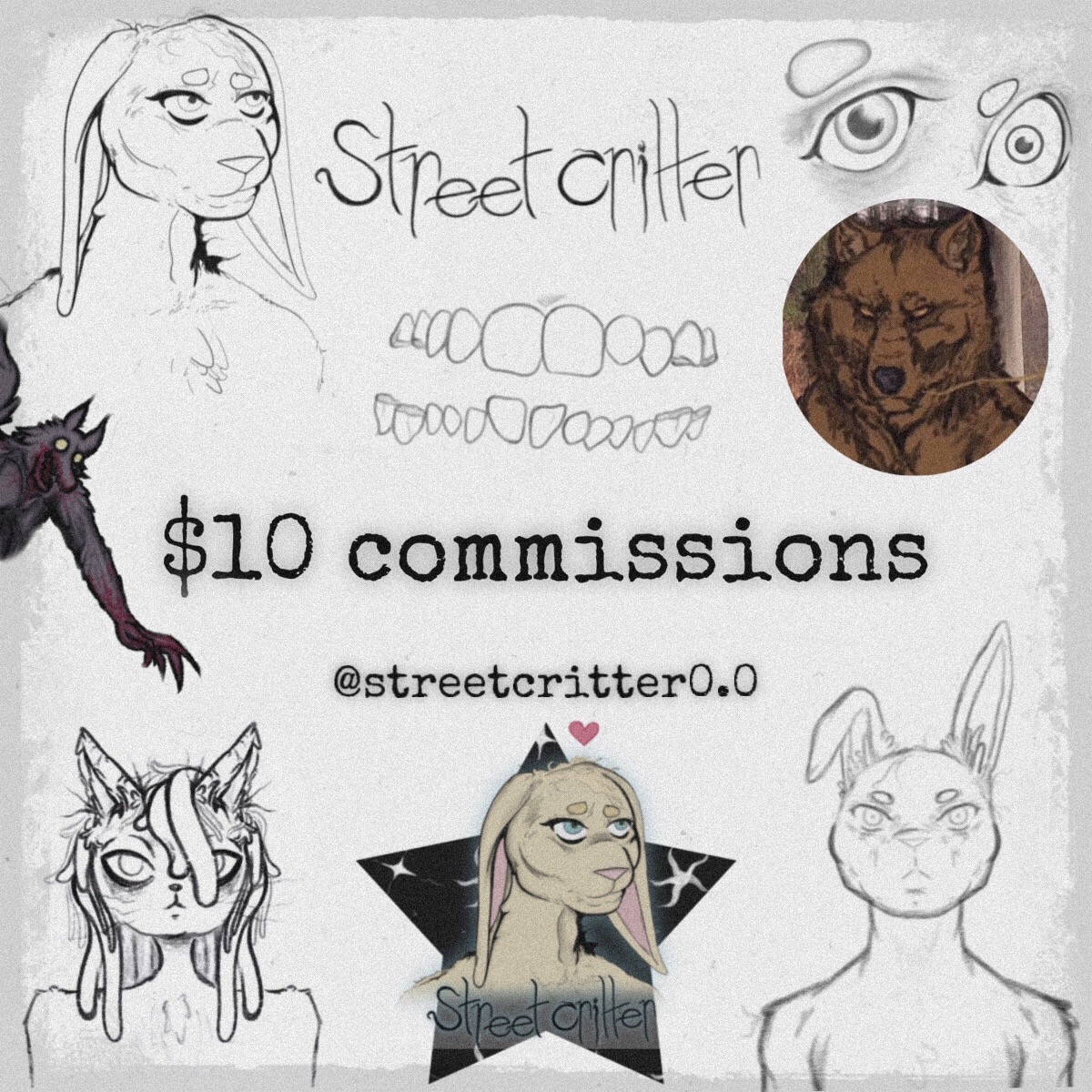 @streetcritter0.0