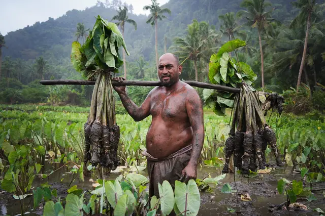 @A Perez Voyages 🗺