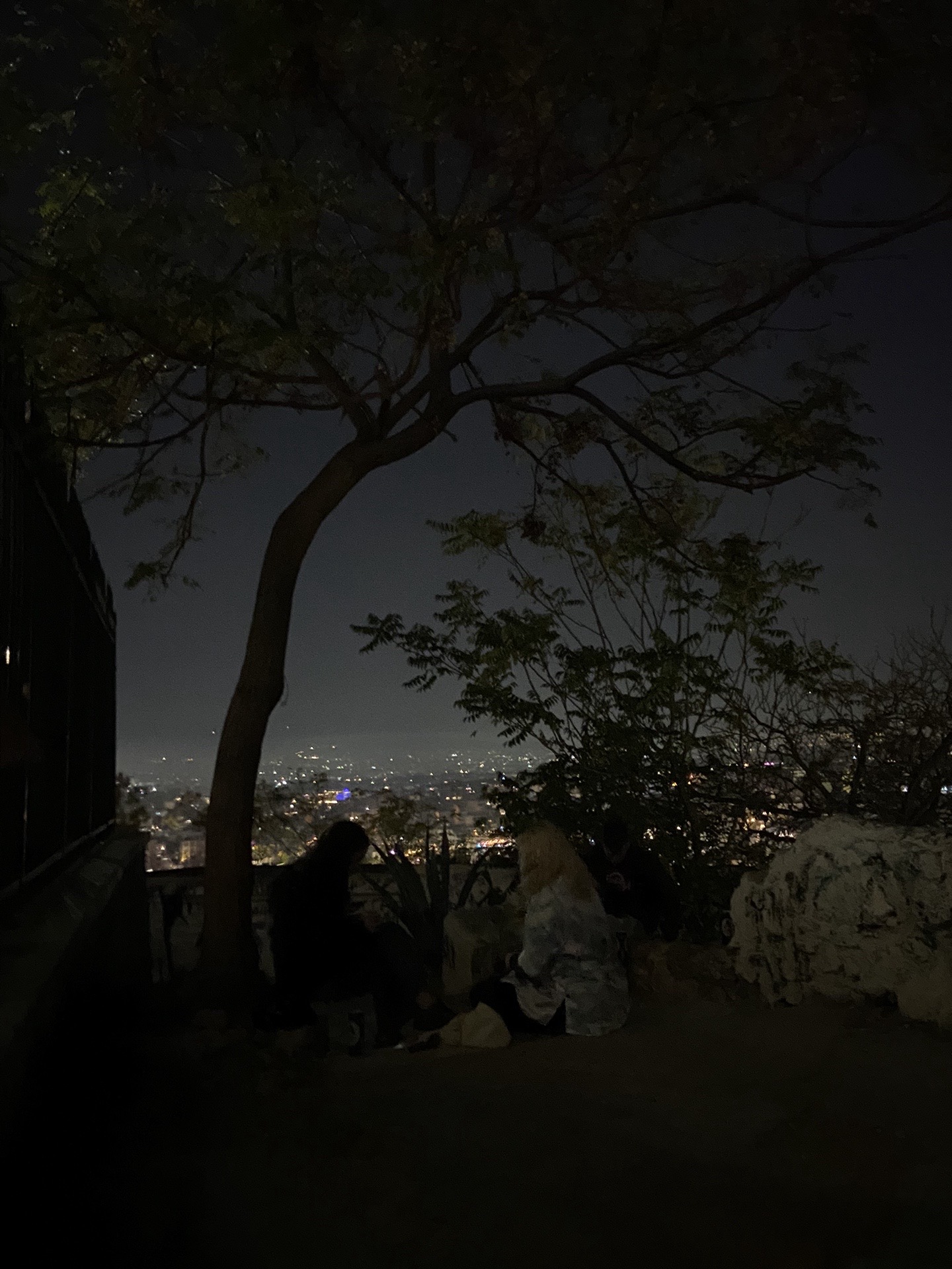 @xariitini