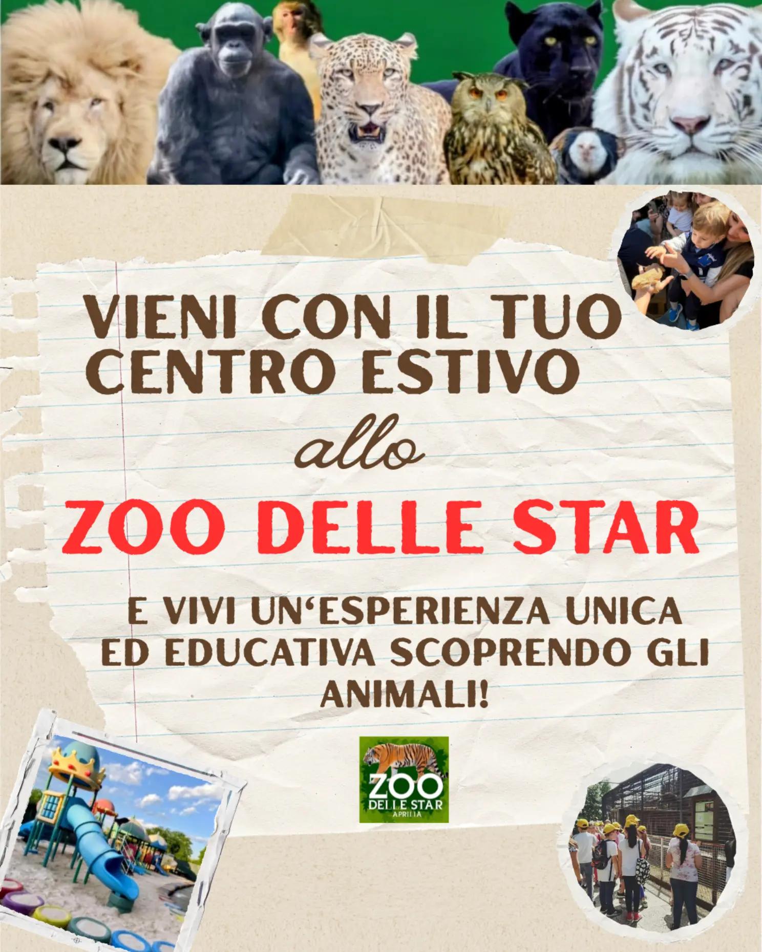@Parco Zoo delle Star