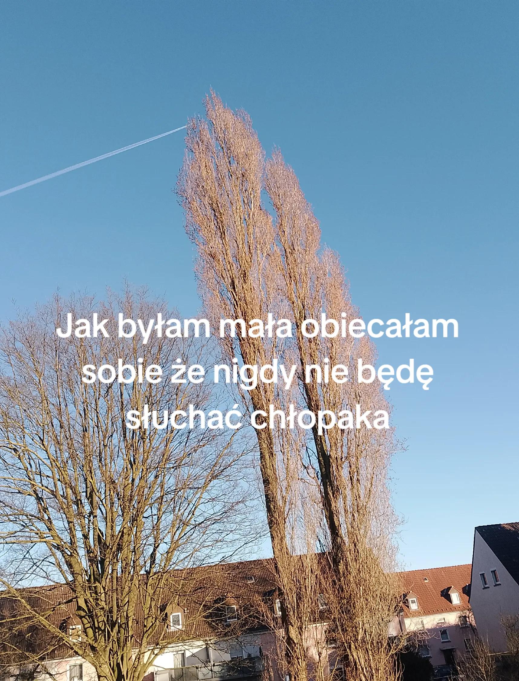 @¸¸♬·¯·♩¸¸♪·¯·♫¸¸♫·¯·♪. (oliwia