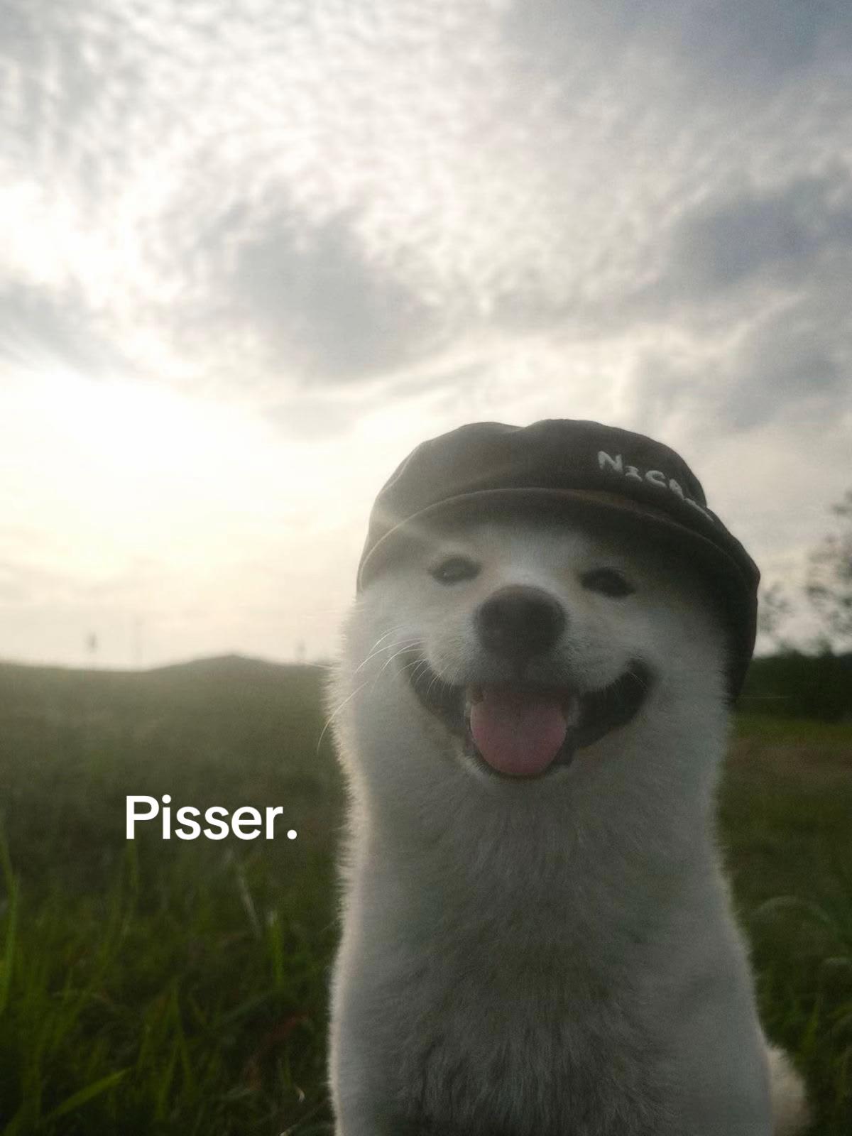 @Zitateakhisbruder