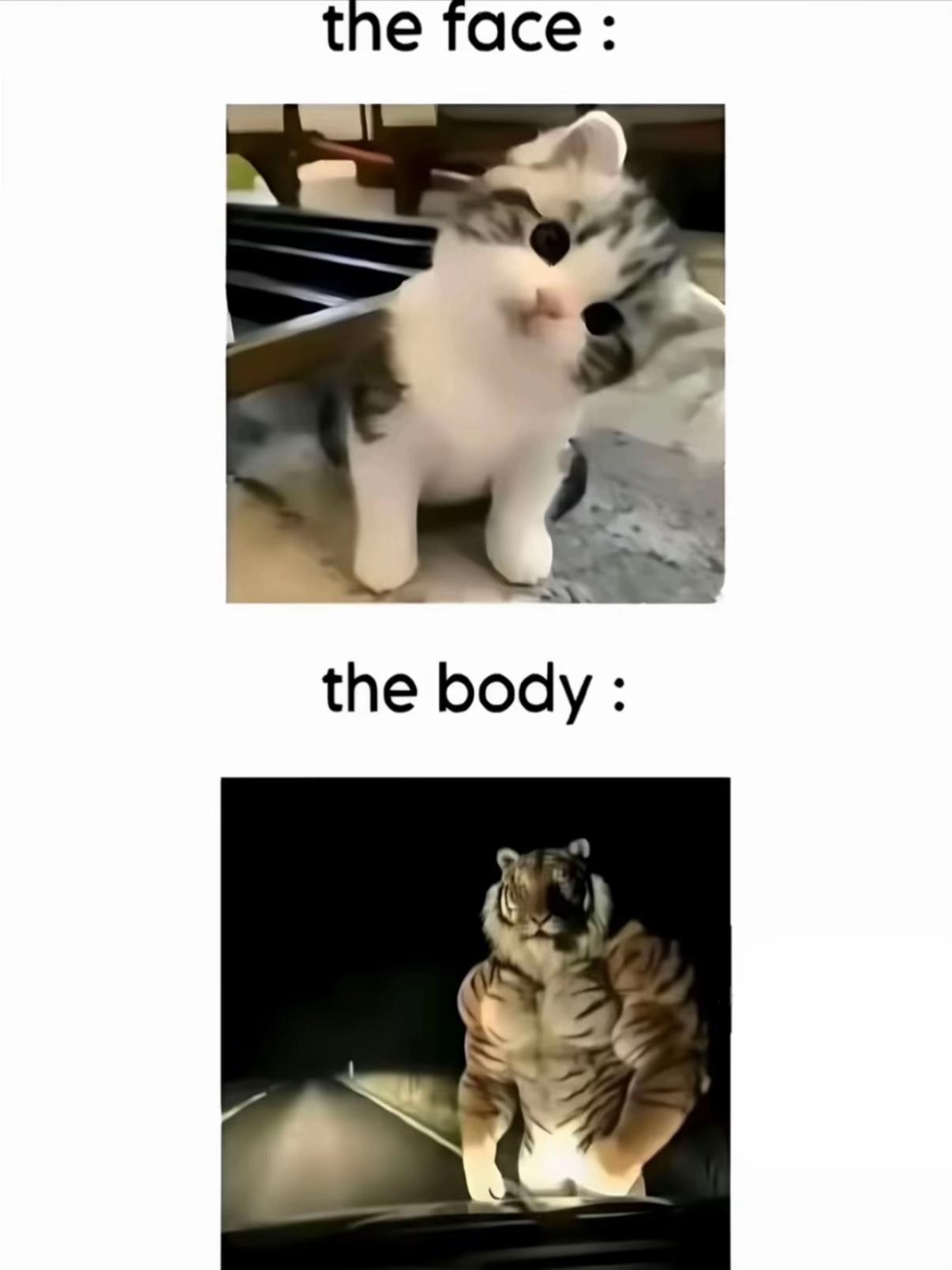 @𐔌. 𝔎𝔞𝔦𝔨𝔬 ♱ ꒰ ルシア ꒱