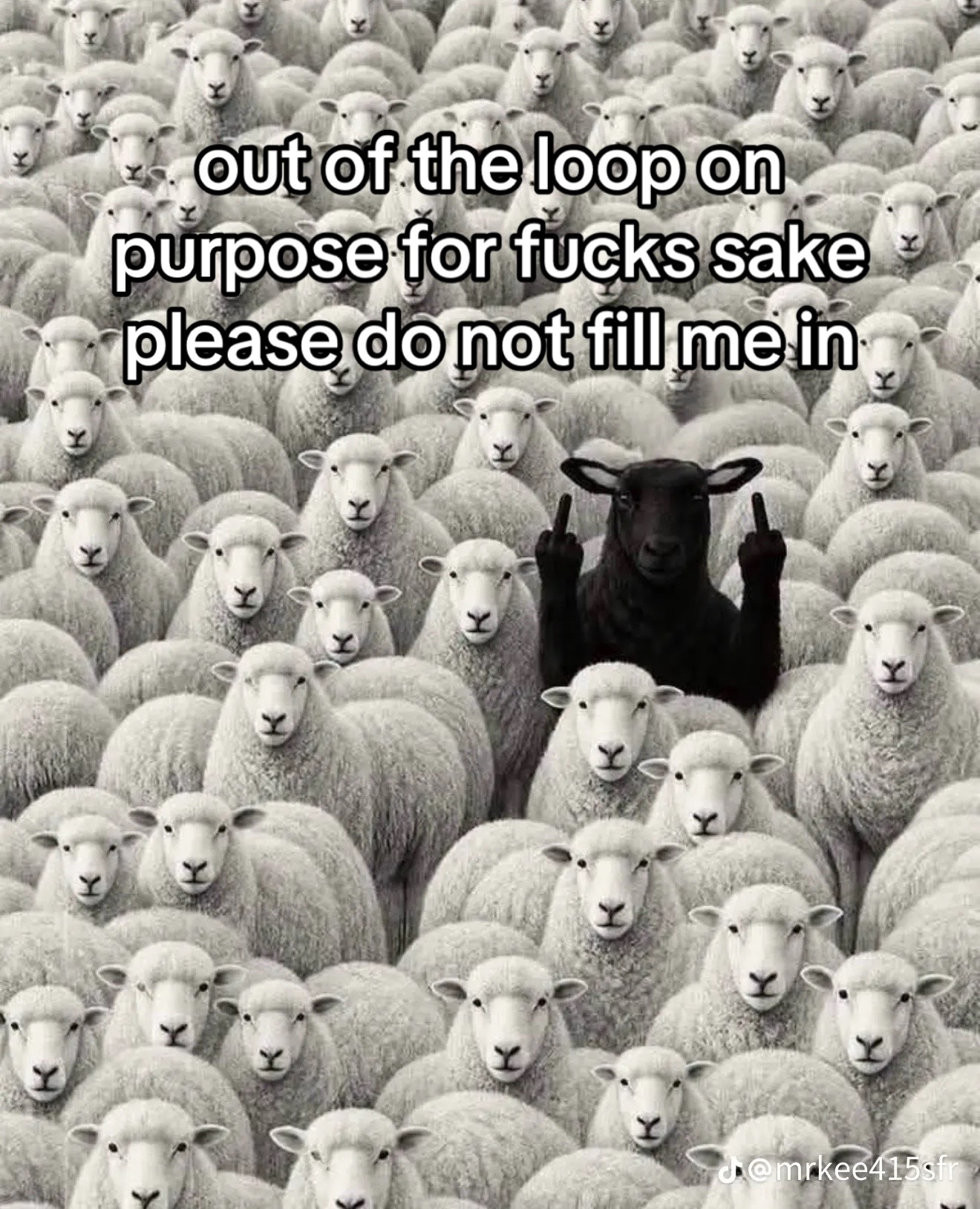 @B.