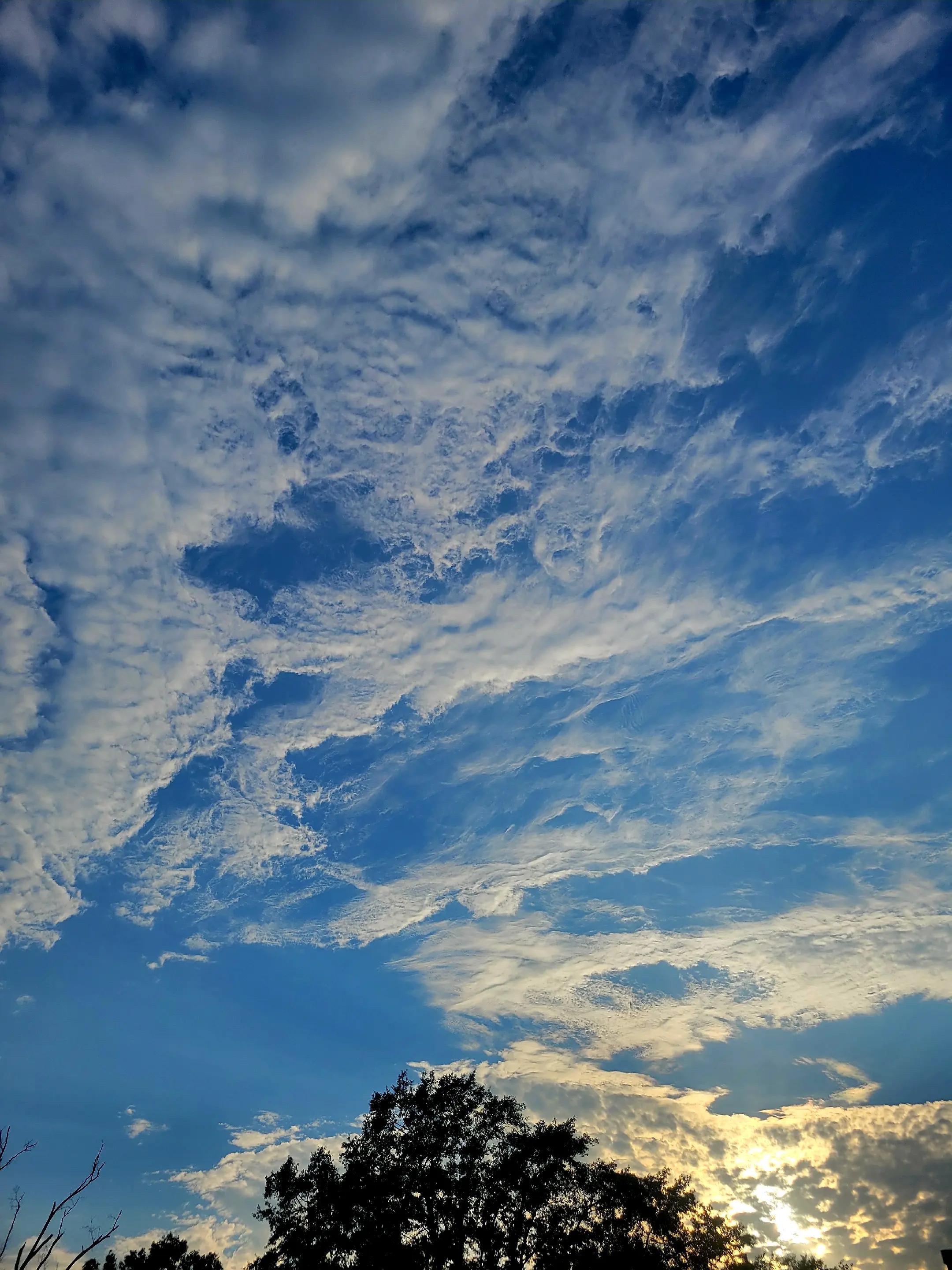 @Mr.J