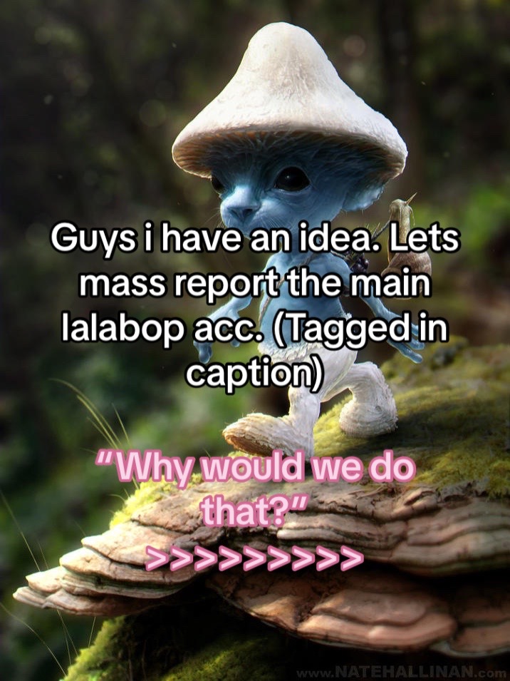 @Ḫ̷̡̟̓̇̏ǎ̶̫͕͖̋̀ļ̴̤͔͘t̸̨̫̾̐̕͝