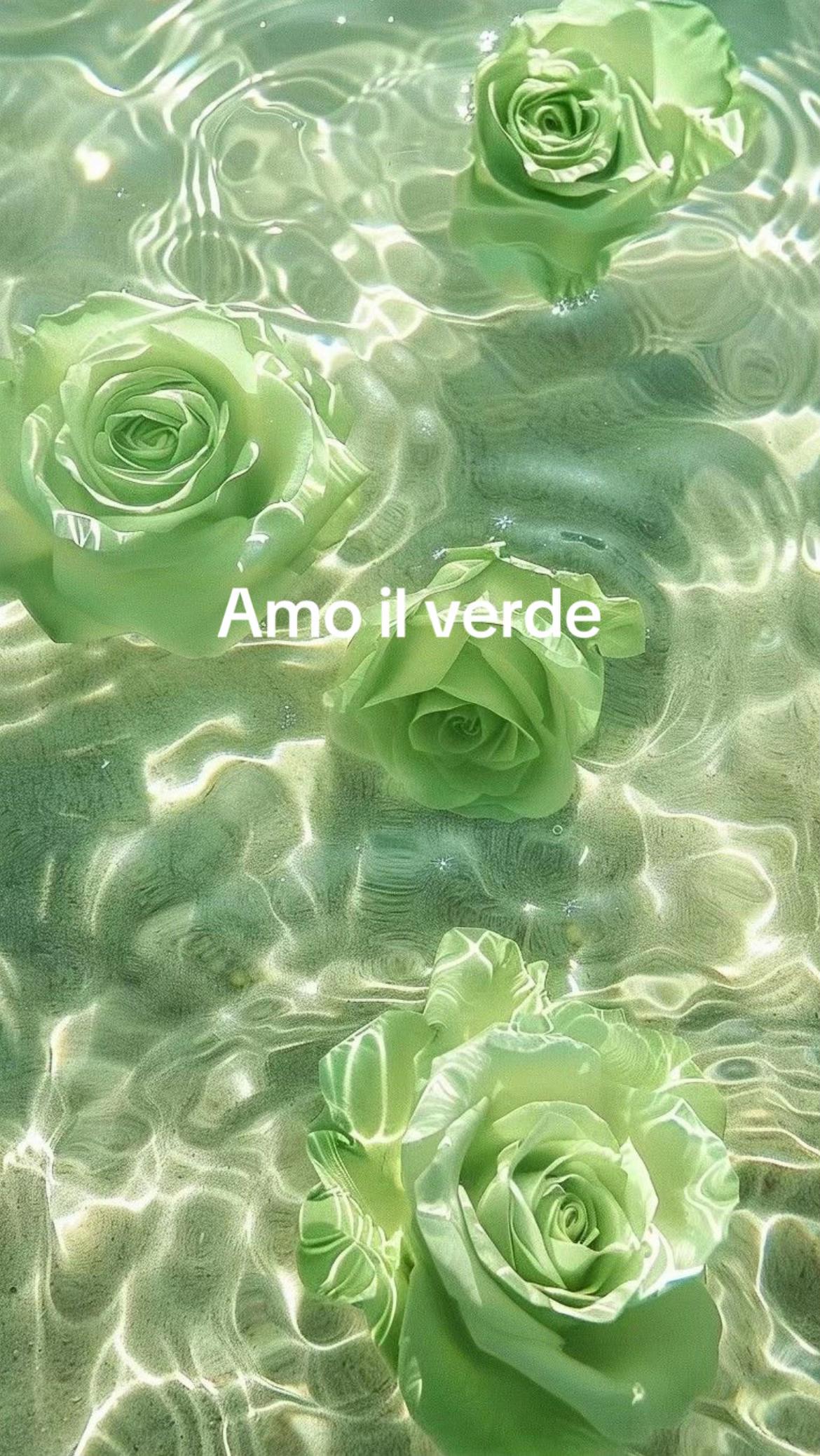 @auryyyy_015