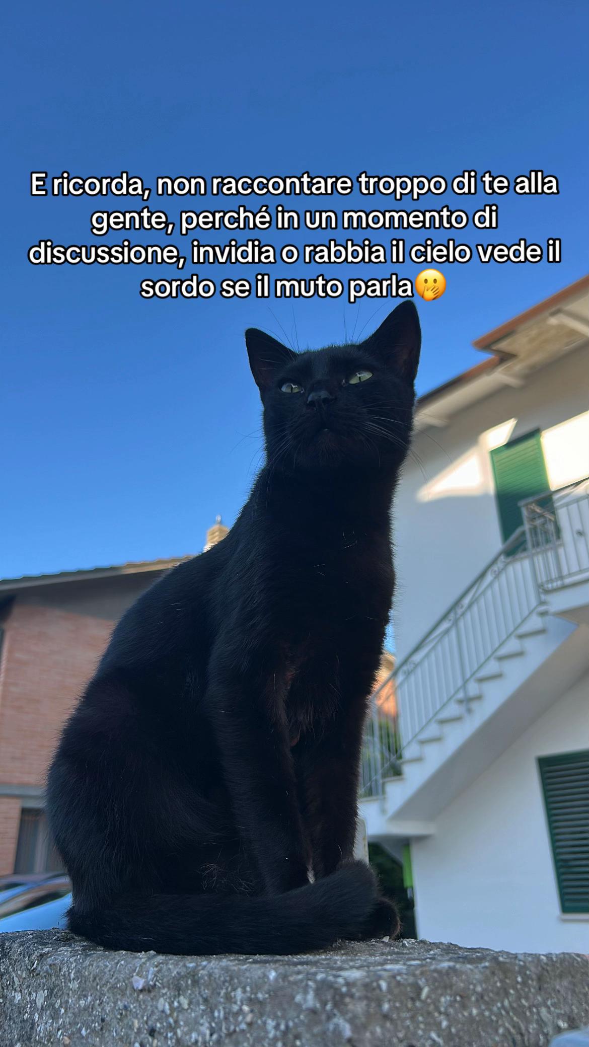 @_la_mattioli