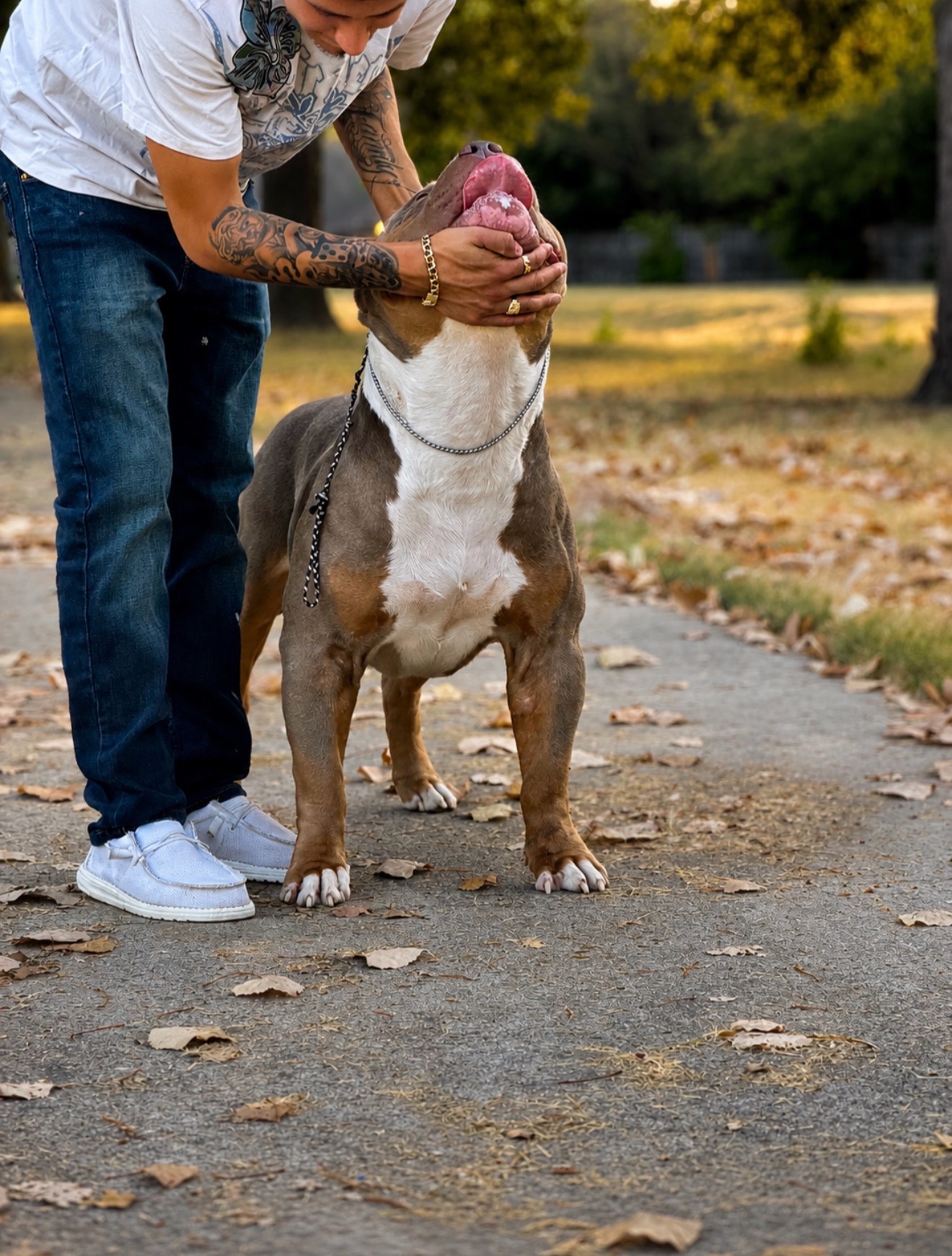 @Dtx_dogkennels