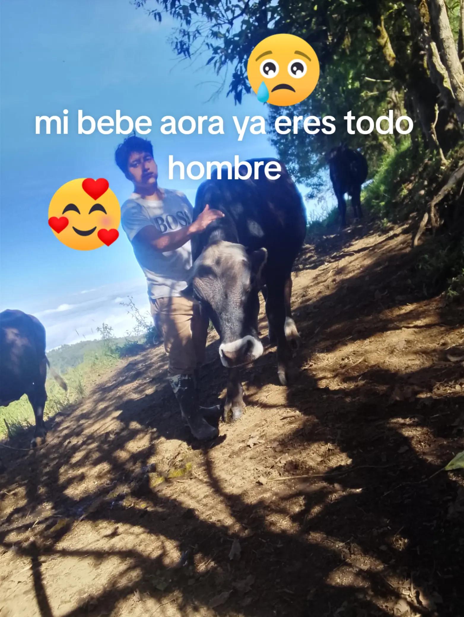 @Rosa Simbaina