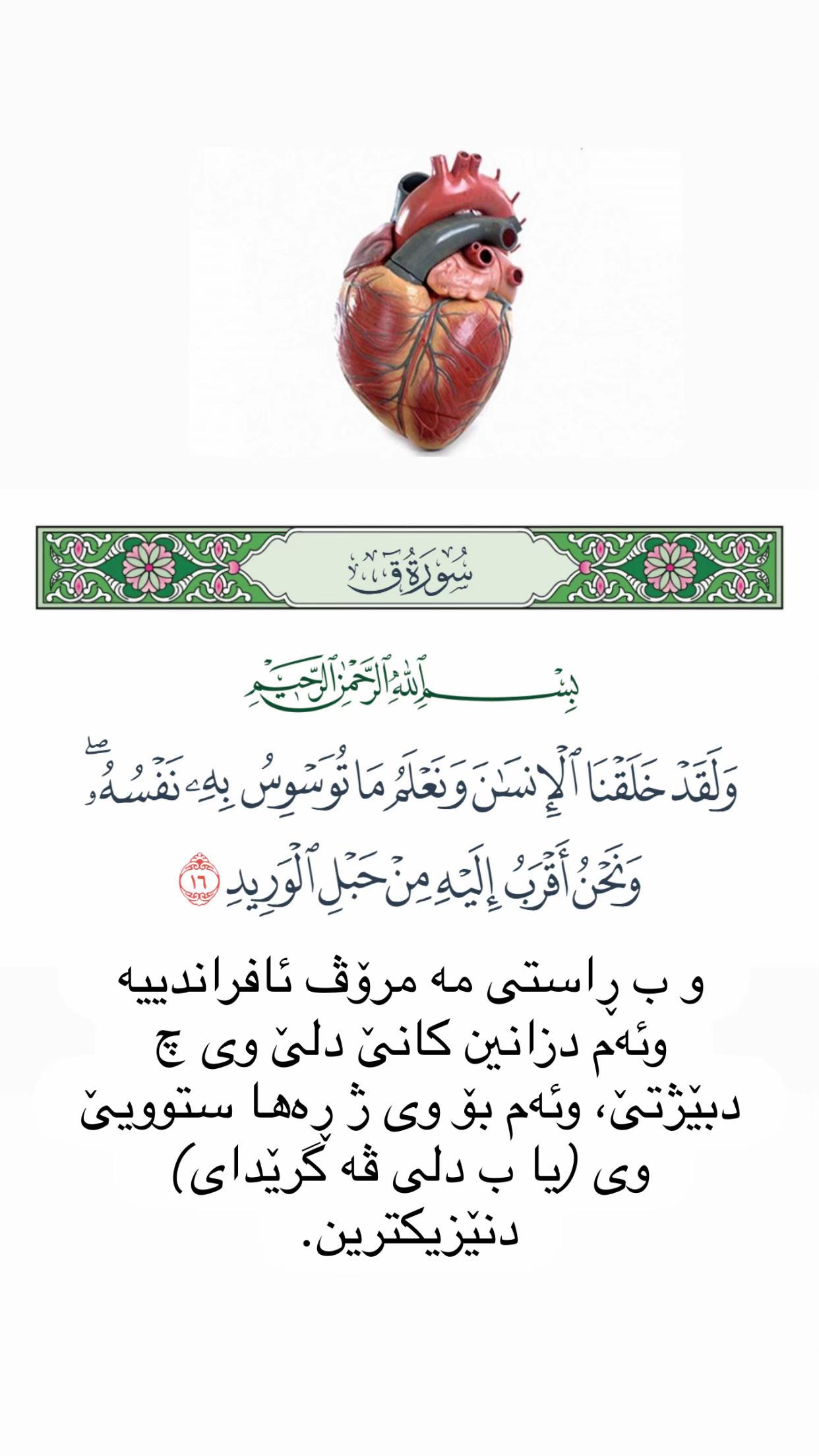 @Ahmed-أحمد
