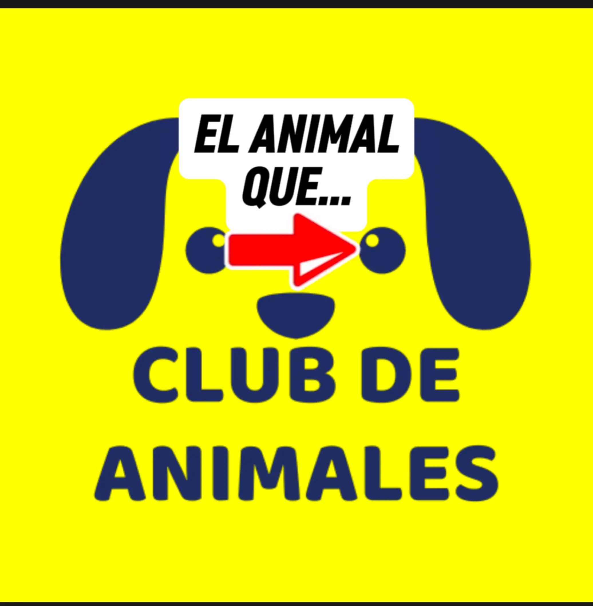 @CLUB DE ANIMALES