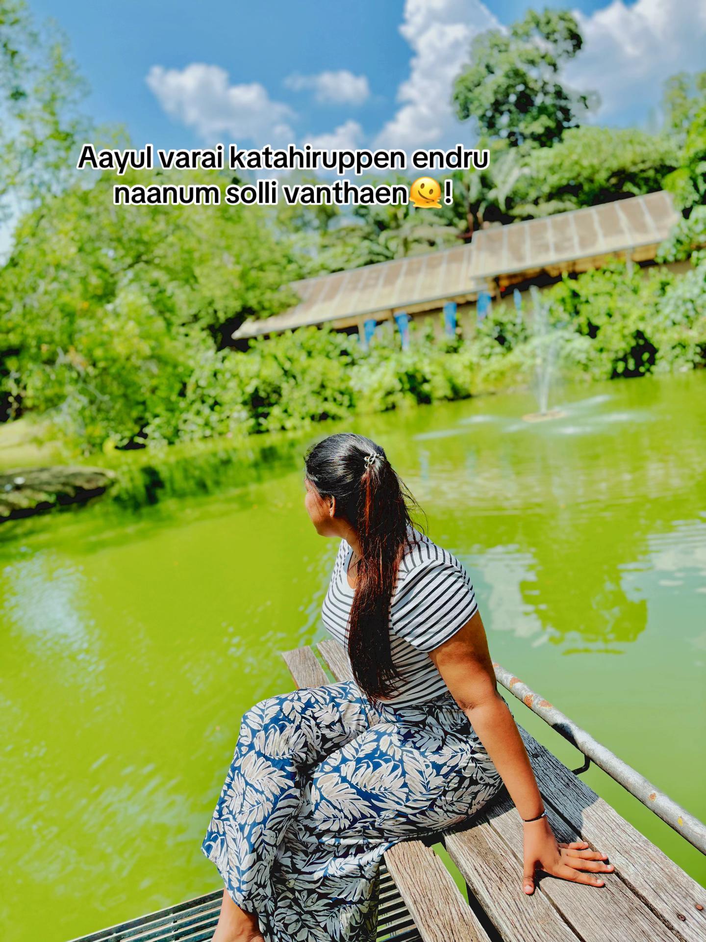 @Renuka Rajendra🤍🦋