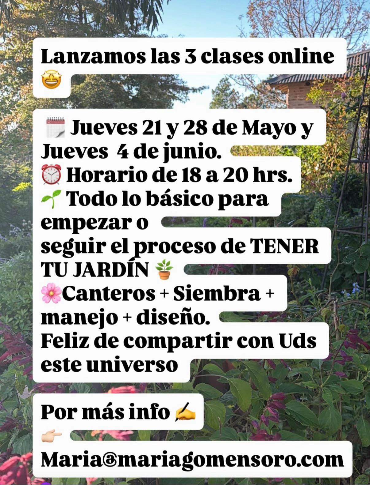 @Maria Gomensoro🌹