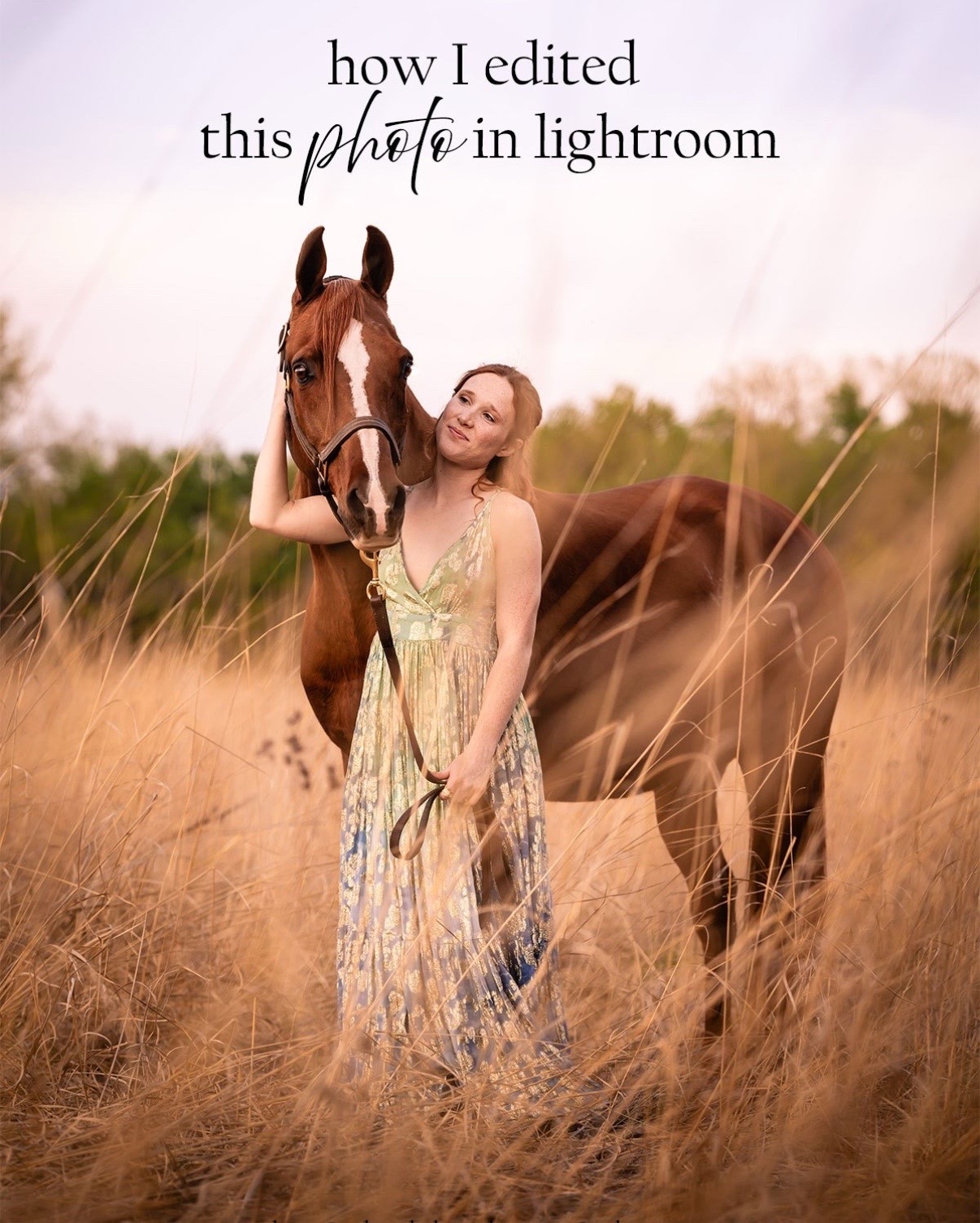 @Tisha 📸🦄 Equestrian&ensp;Photog