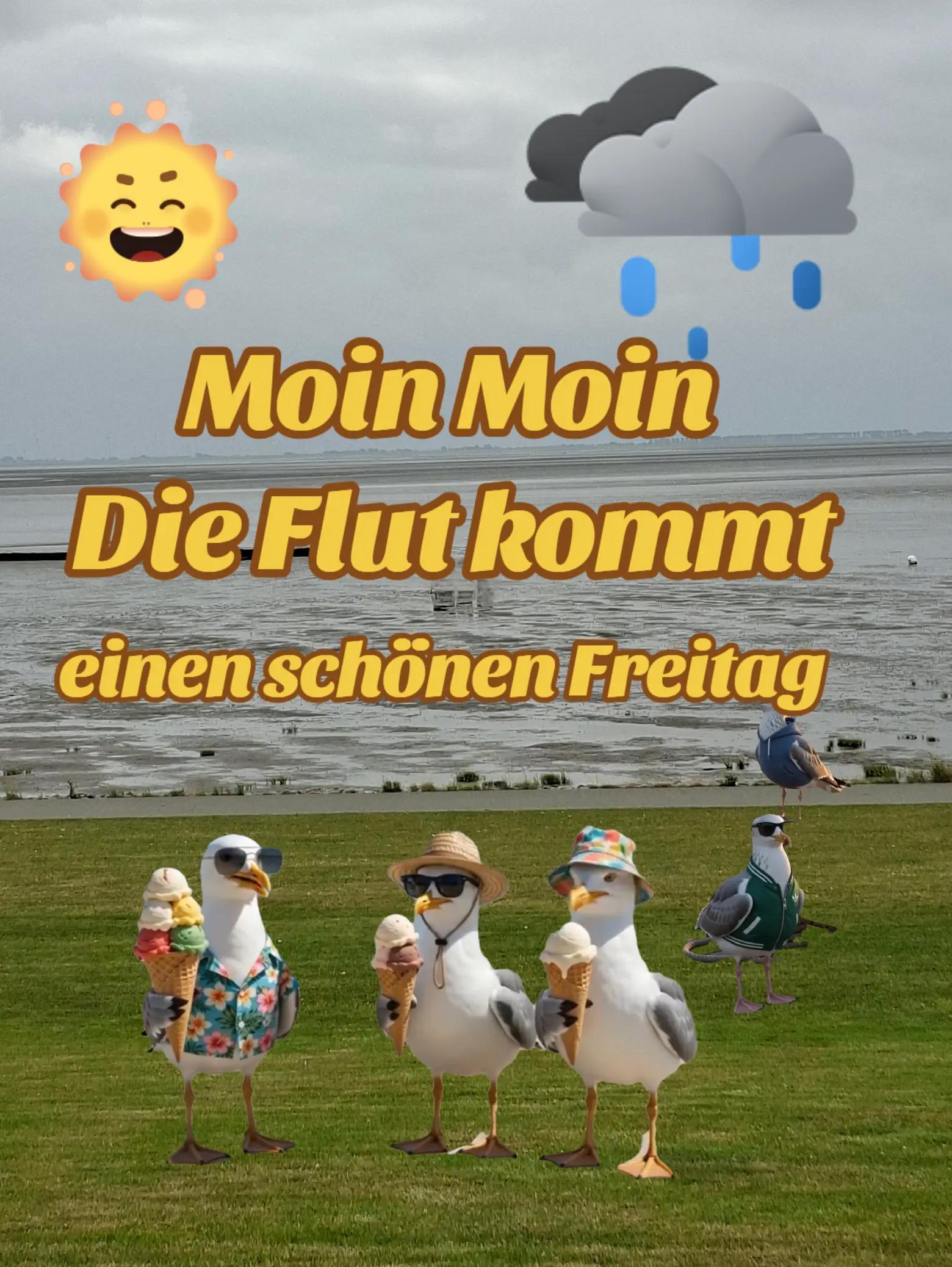 @geistlein12