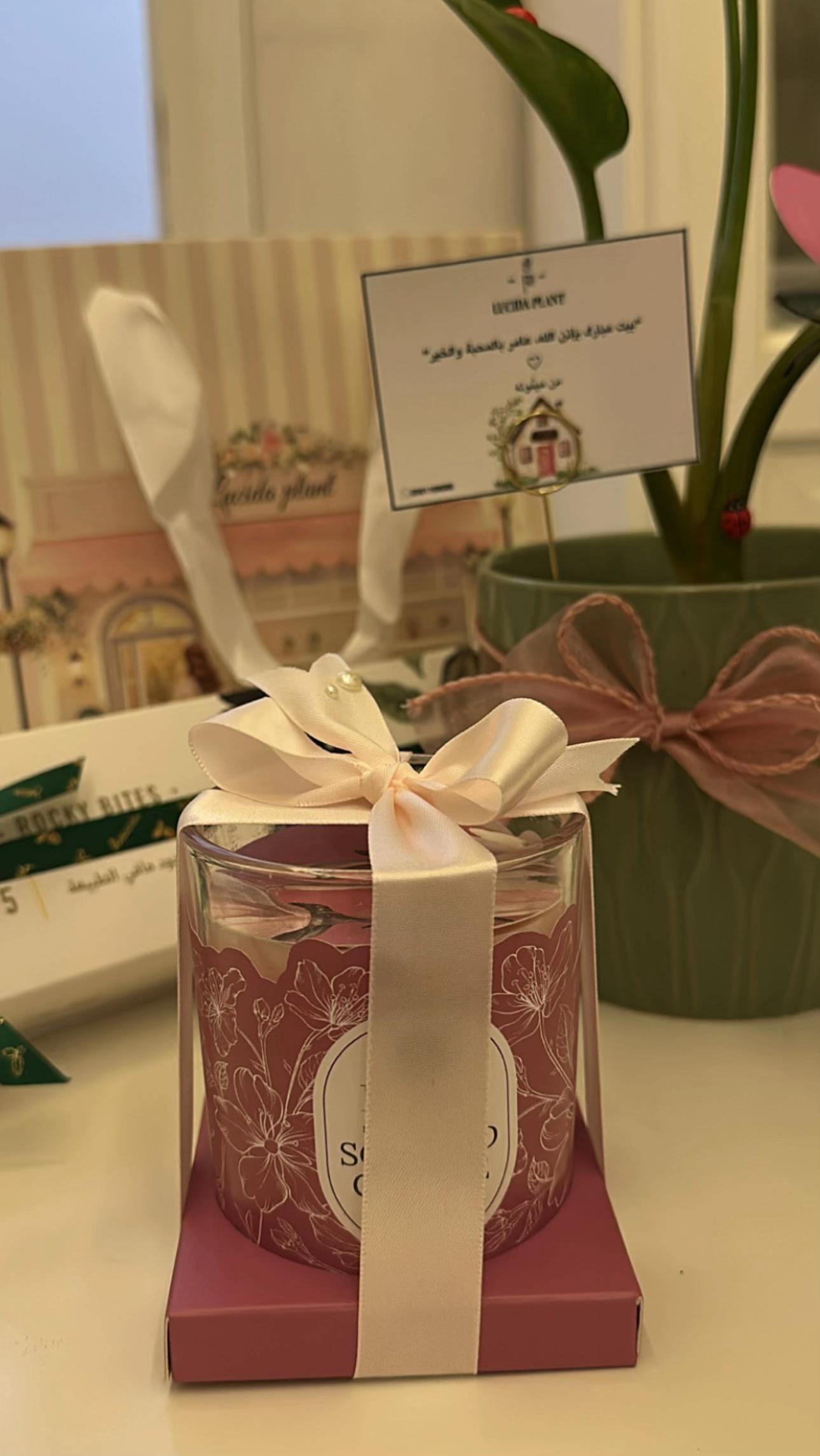 @لوسيـدا-الباحة🪴