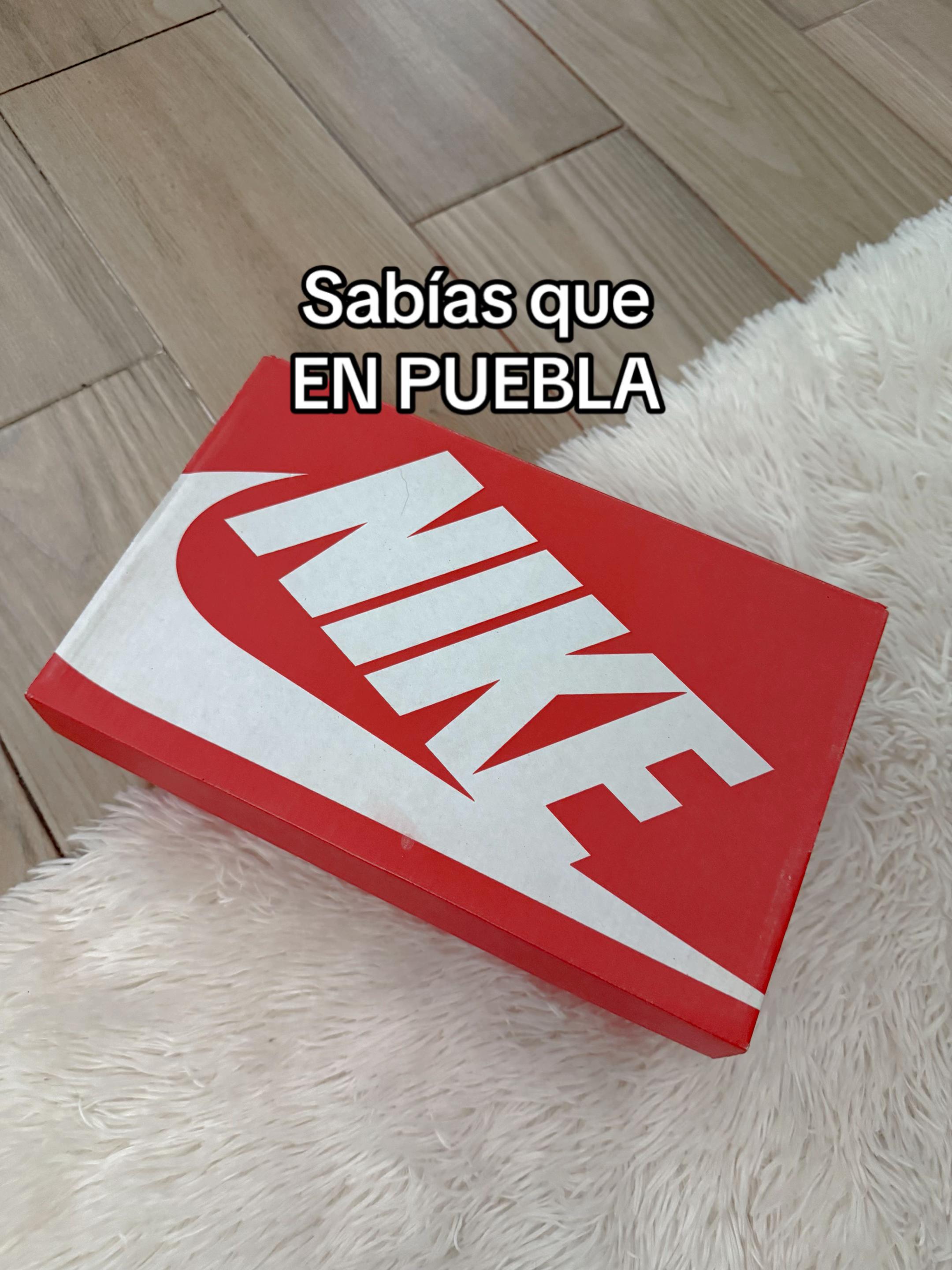 @absolute.mx_