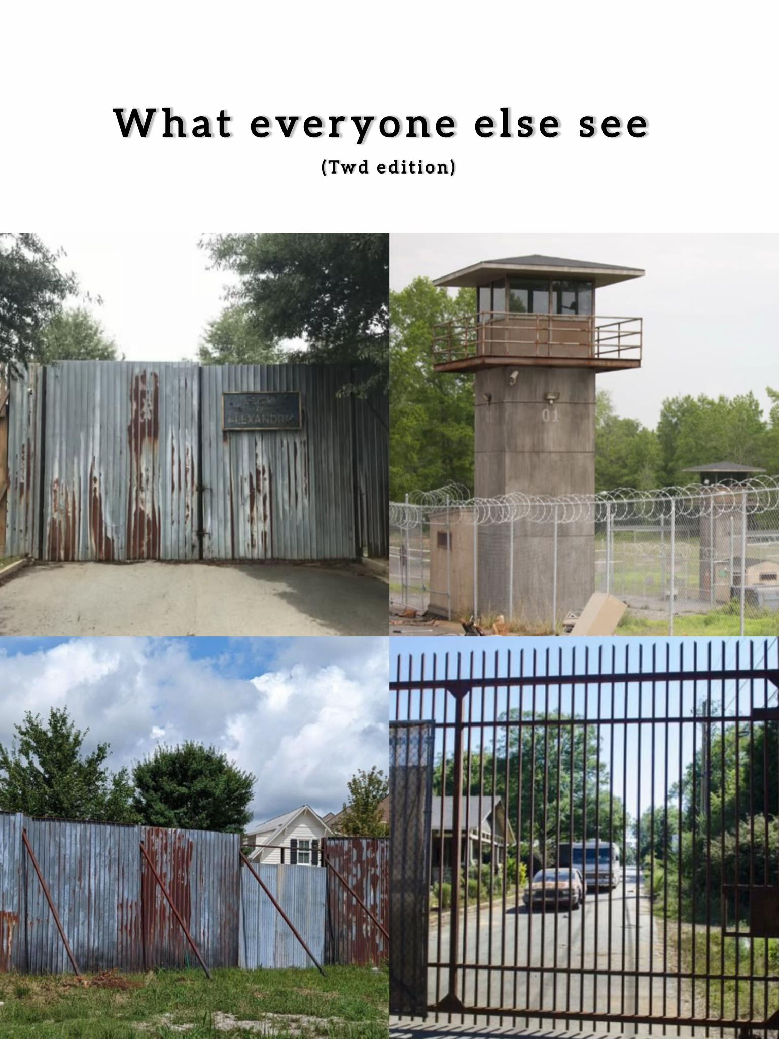 @TwdHolic
