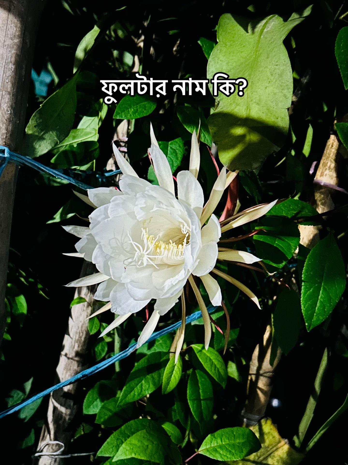 @HUNTER BHAI