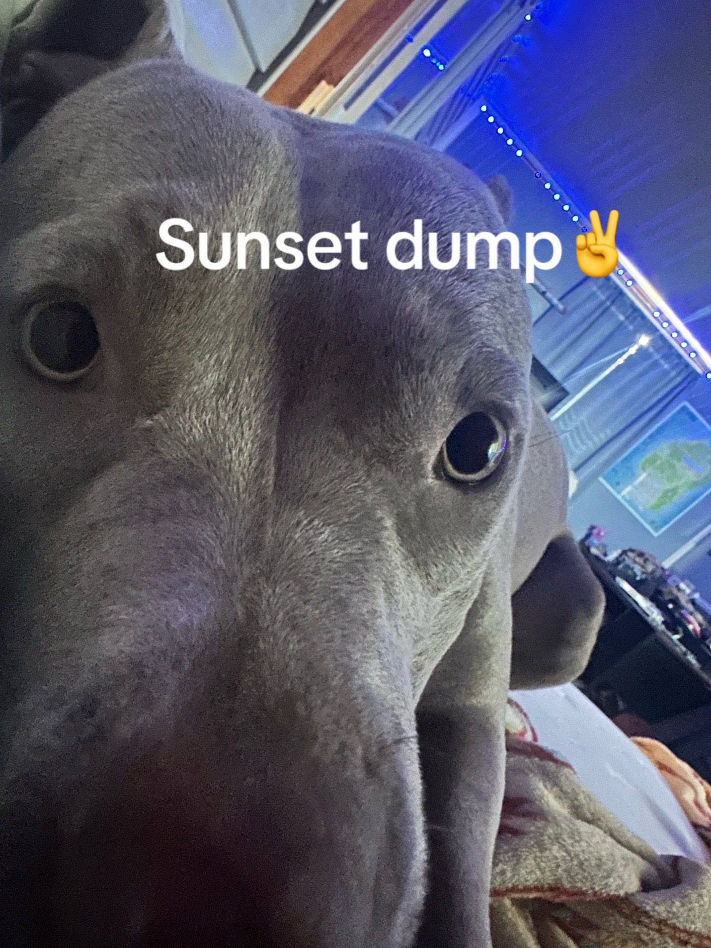 @C-4-Y-L-3-B_04