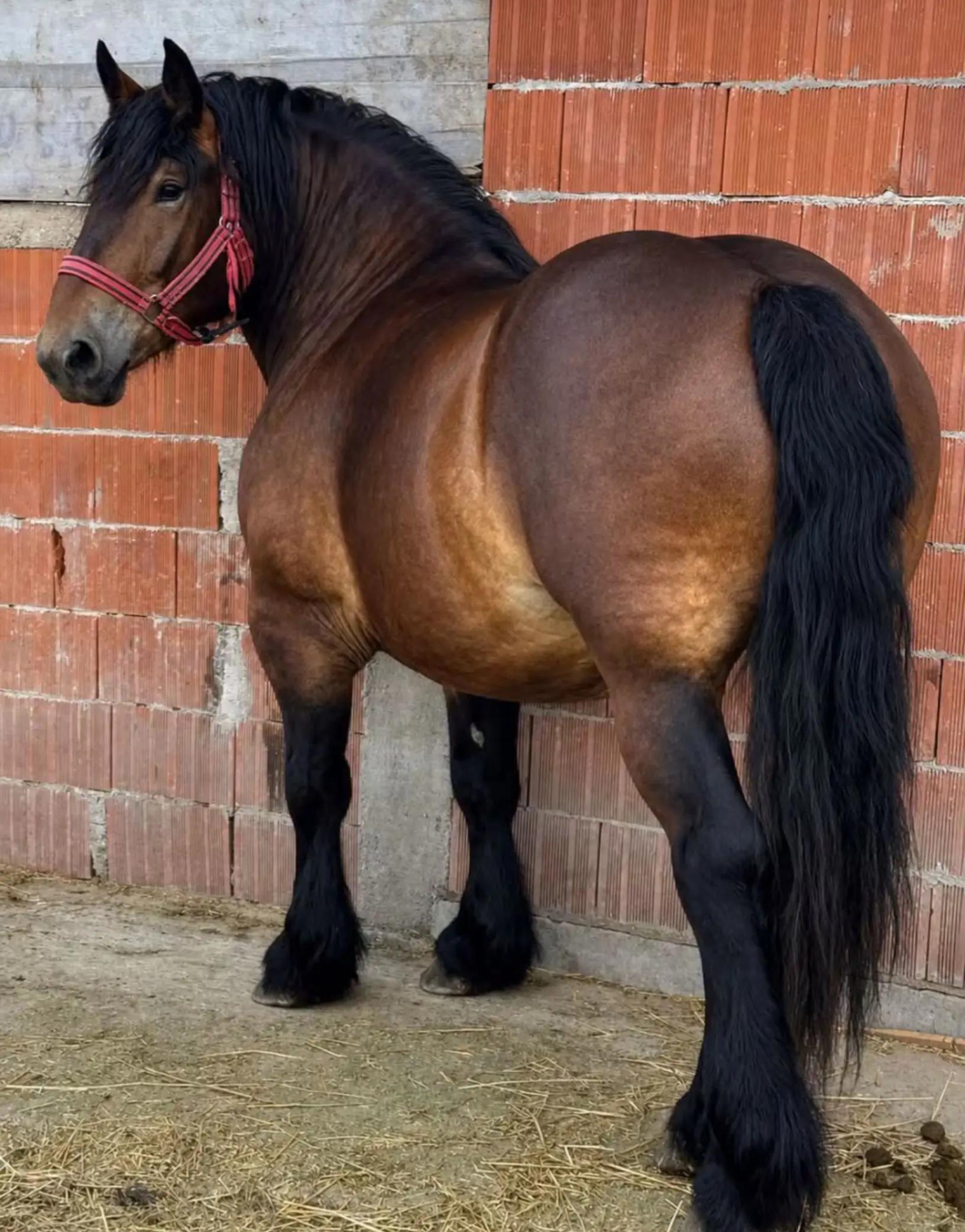 @🐴spartanu80🐴