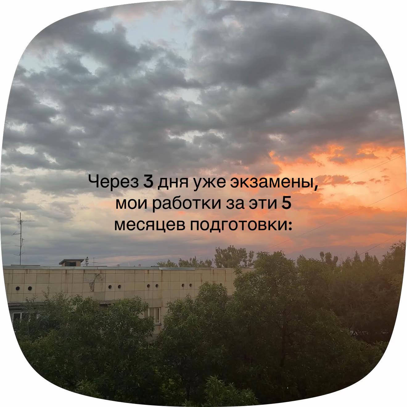 @vvensitt 𓆩♡𓆪