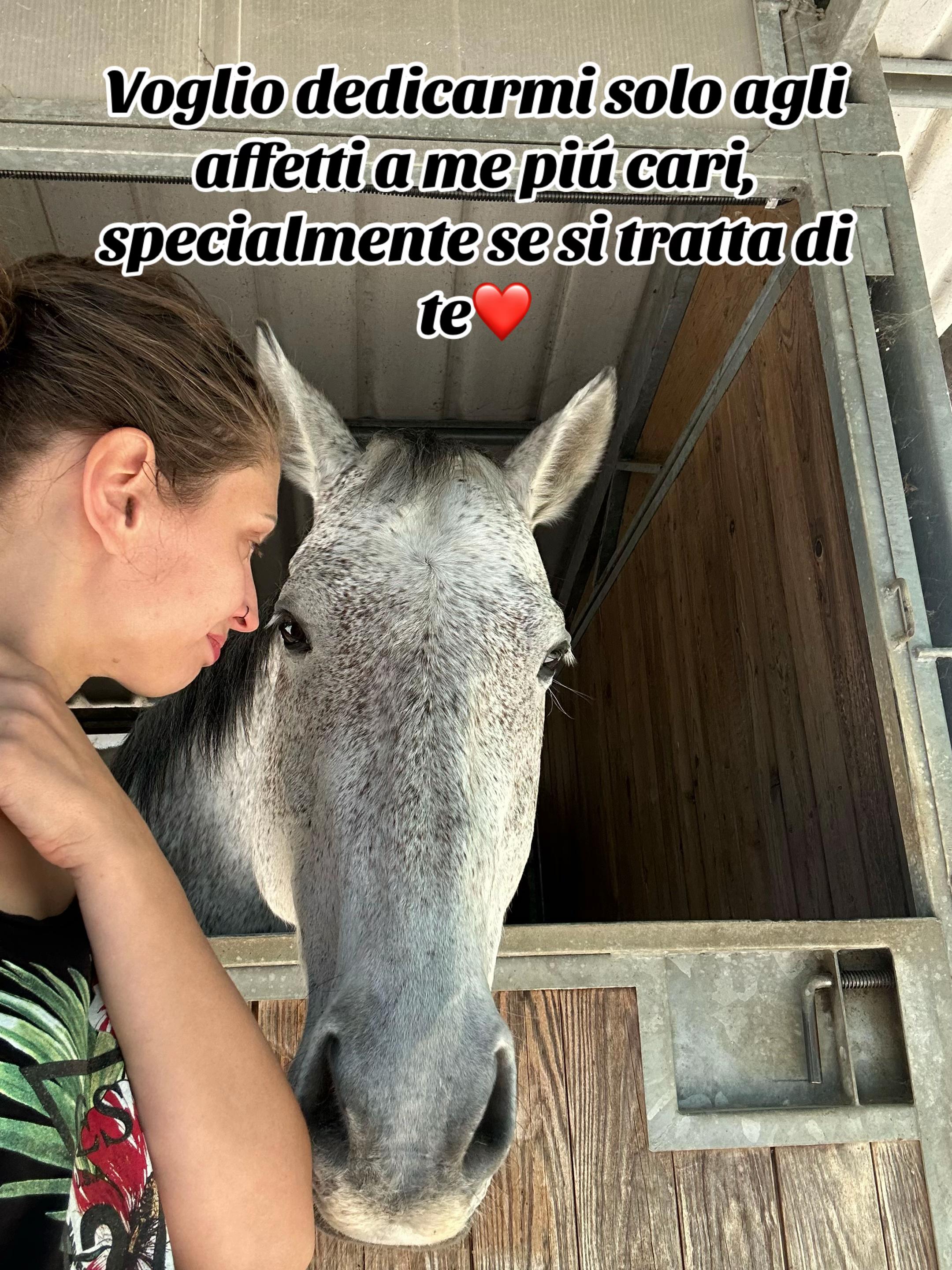 @Passione animali ❤️