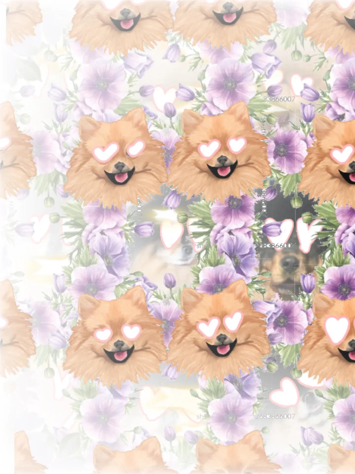 @♬♩♪♩ ♩♪♩♬Mهင H A♬♩♪♩ ♩♪♩♬