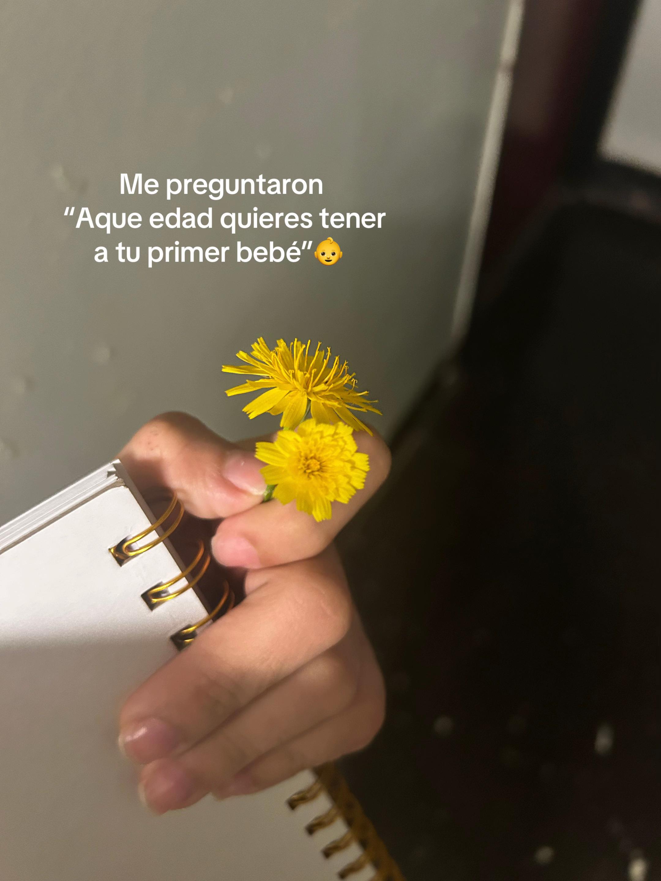 @𝓘𝓽𝓼_𝓼𝔂𝓵𝟒𝟒𝟒