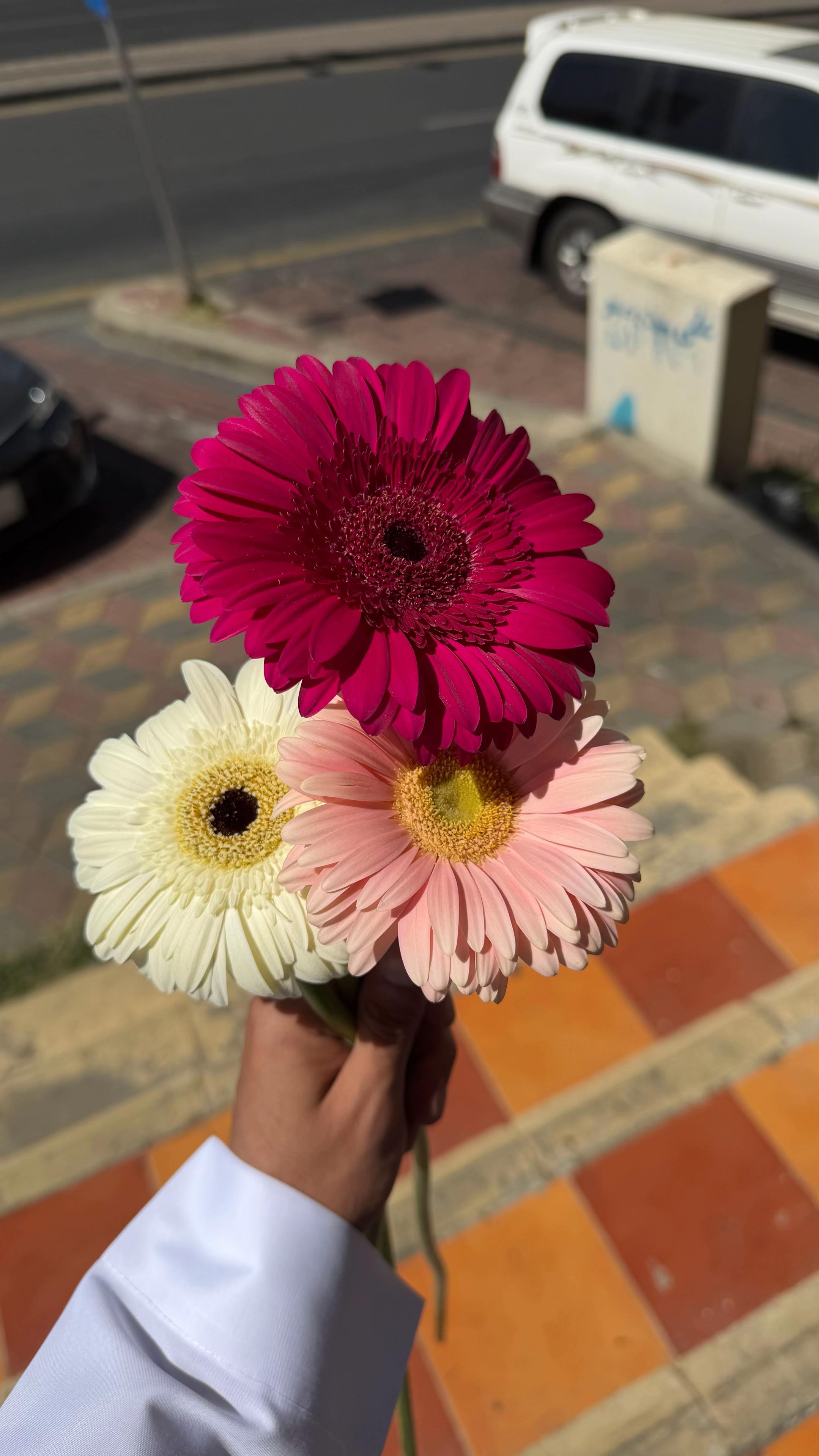 @هدايا خميس مشيط