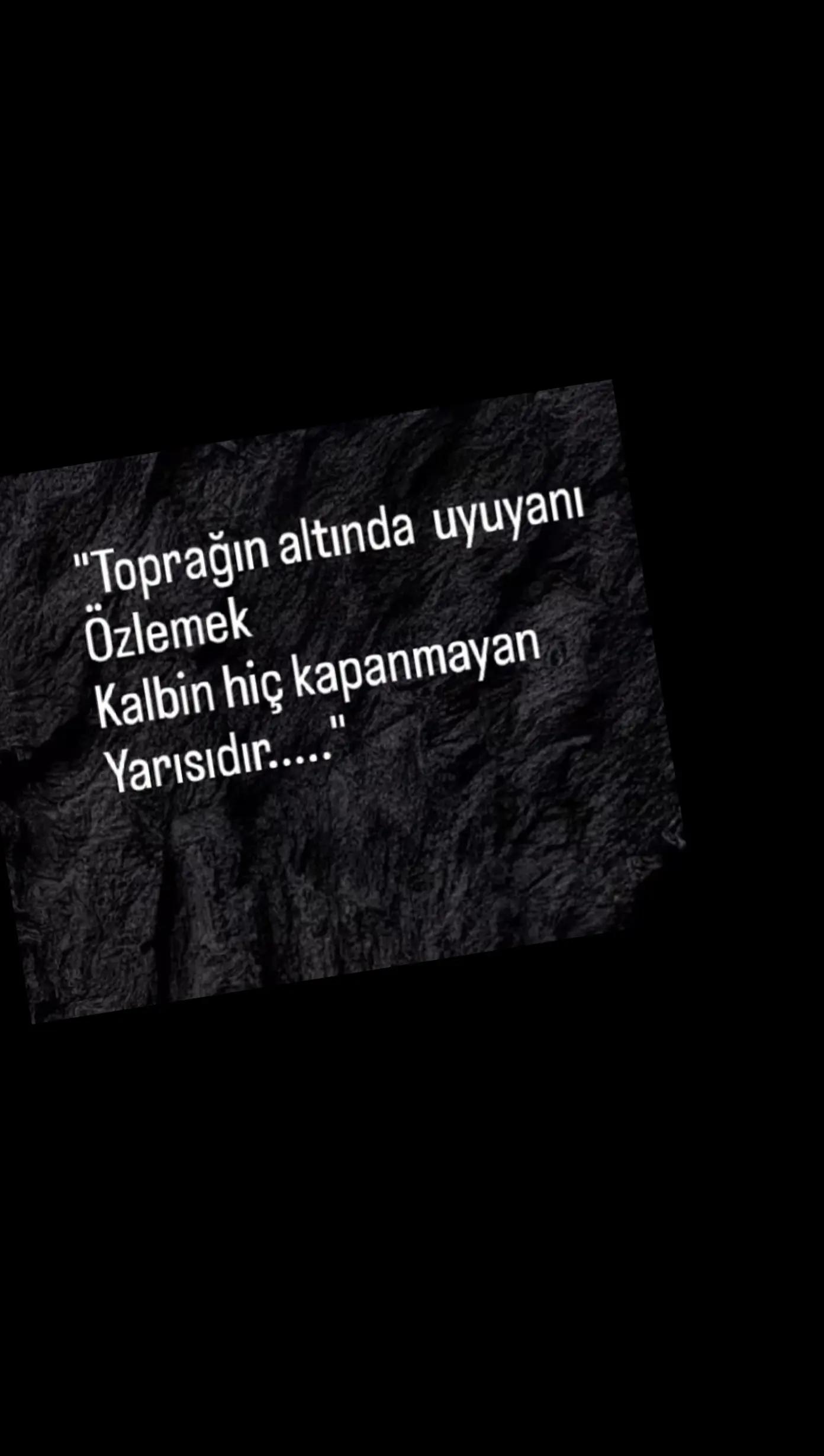@papatya