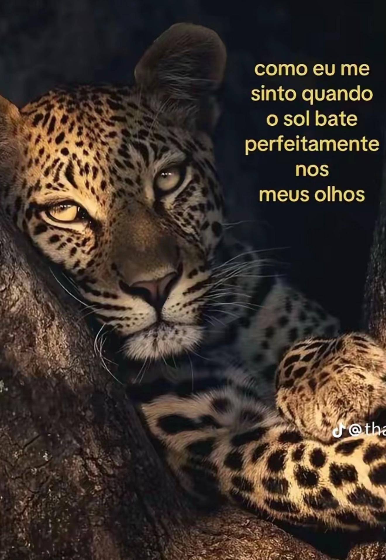 @ANA CAROLINA ❤️🔥🫦