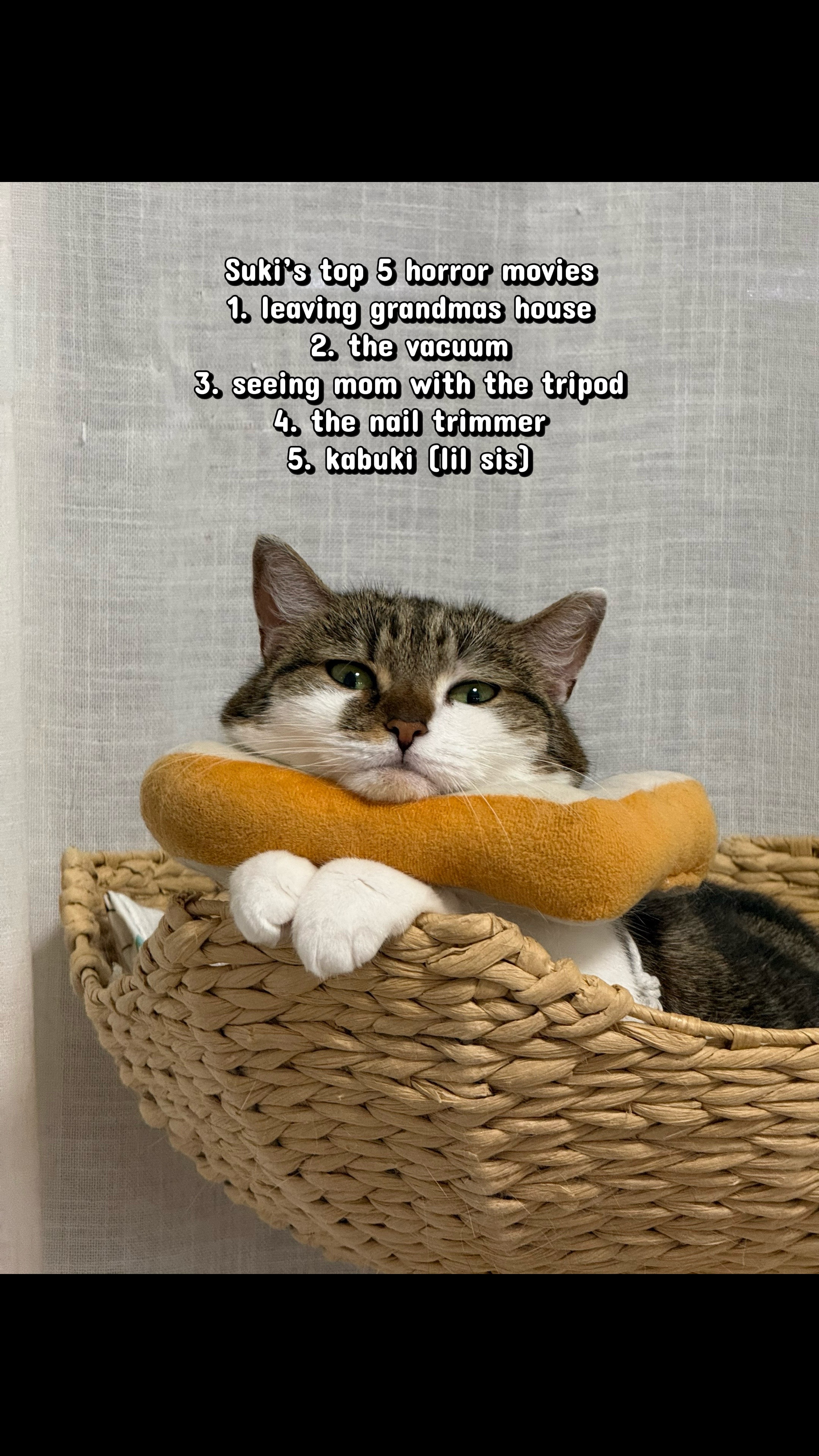 @Suki Purrs