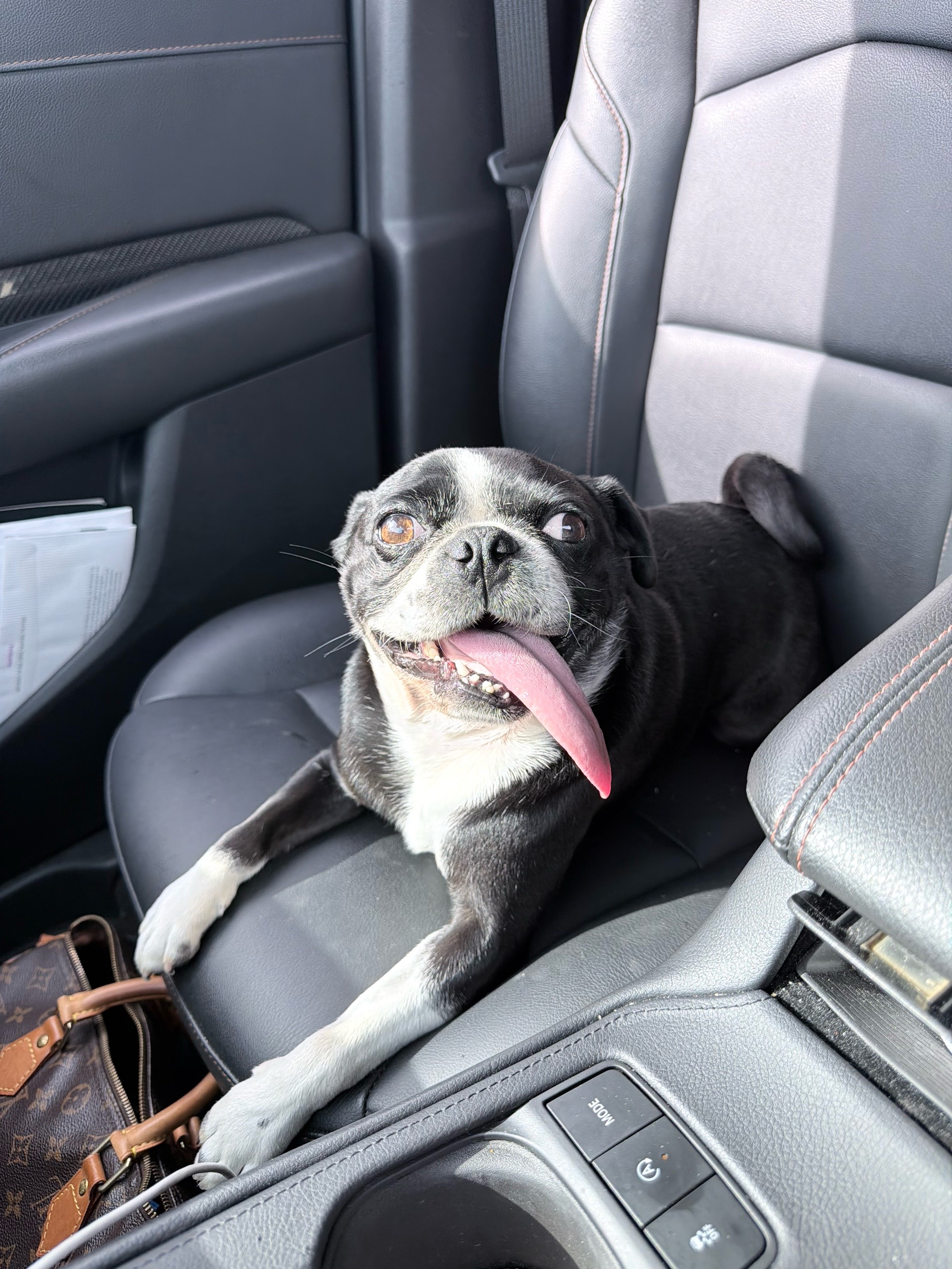 @ThreeCrustyPugs